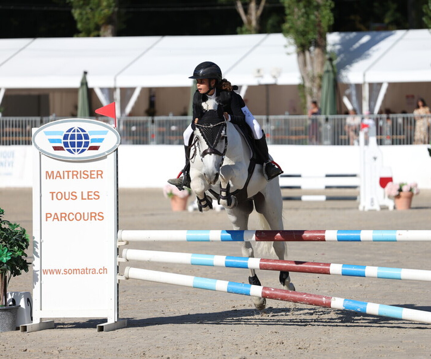 Description de l'image