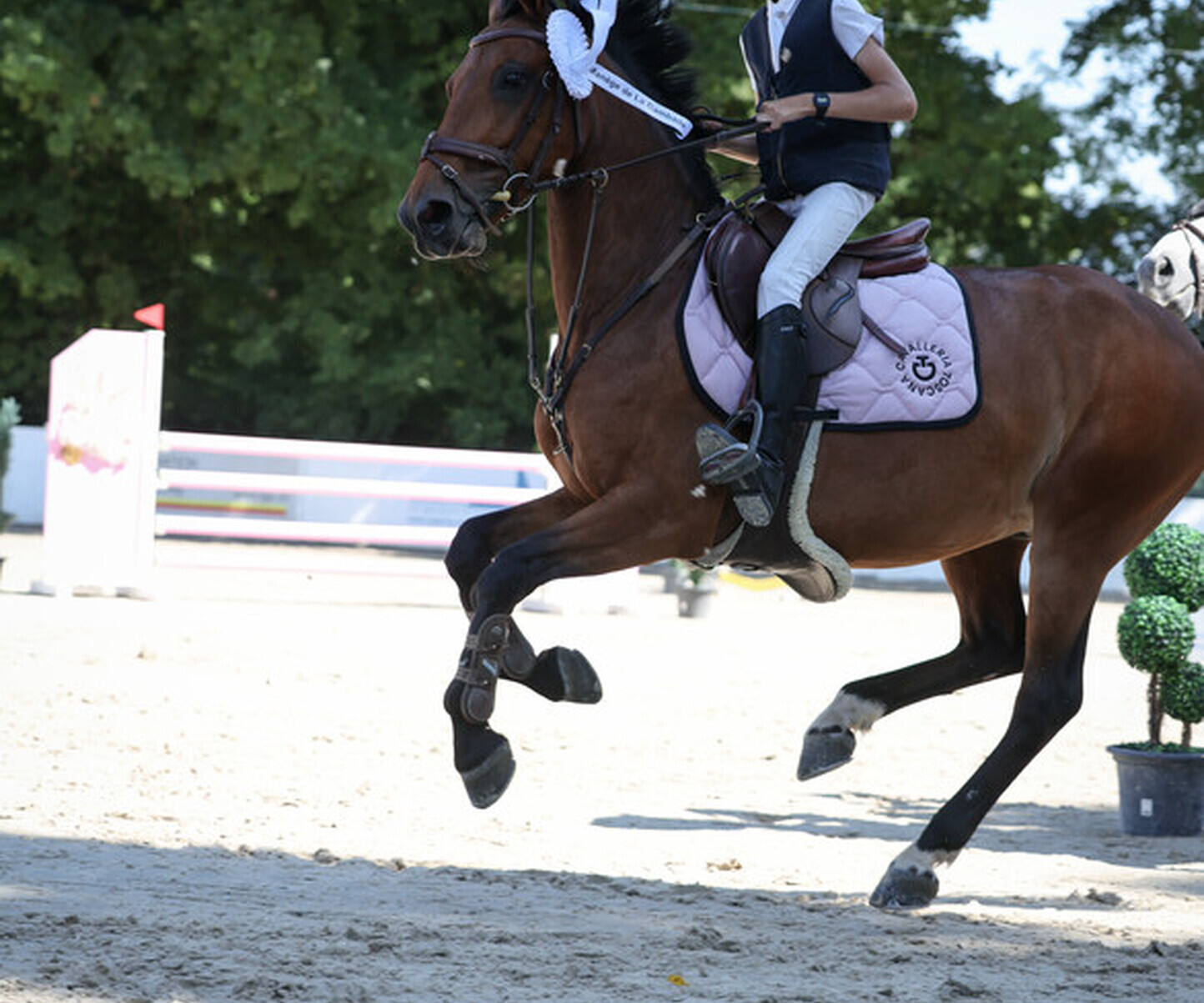 Description de l'image