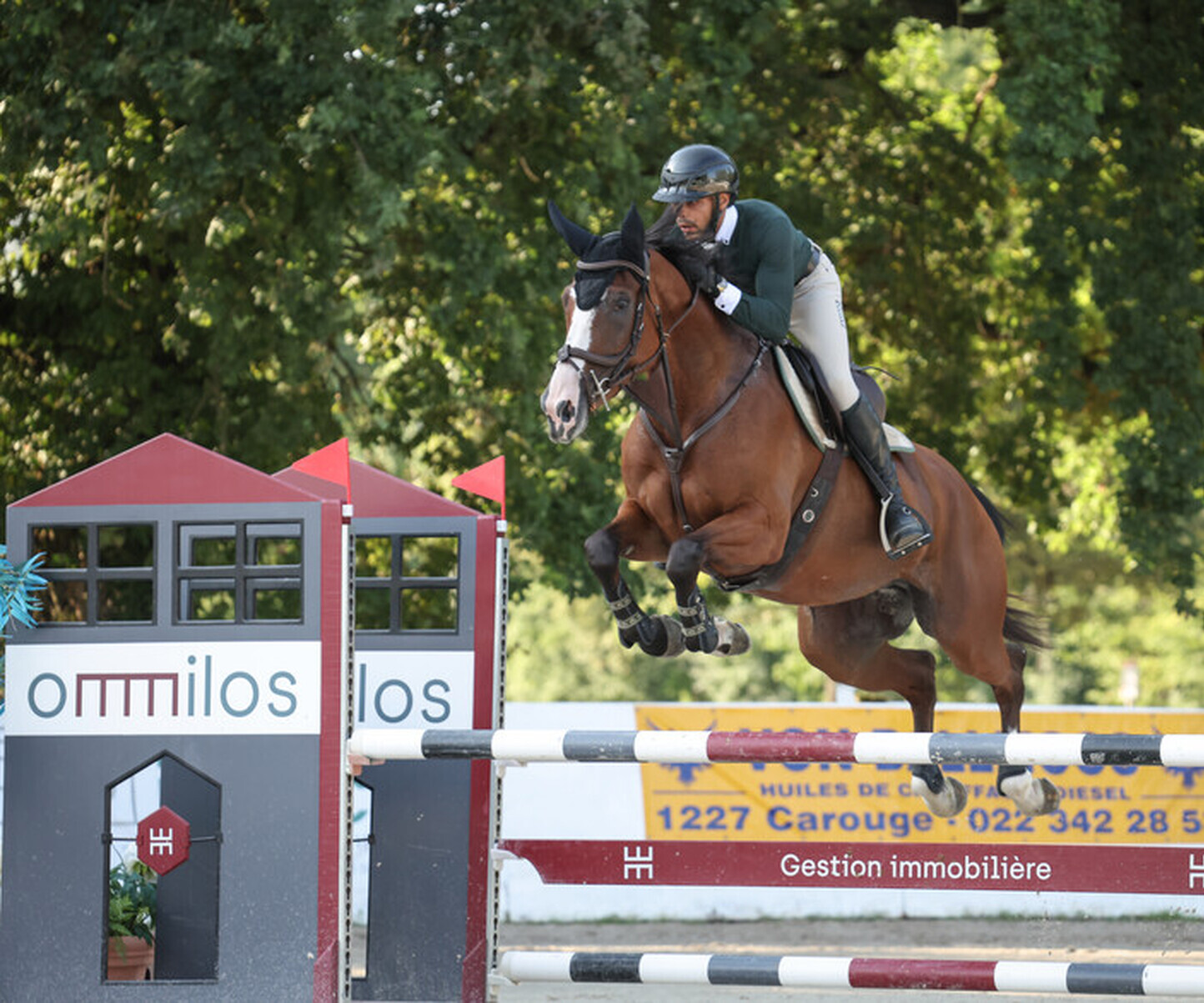 Description de l'image