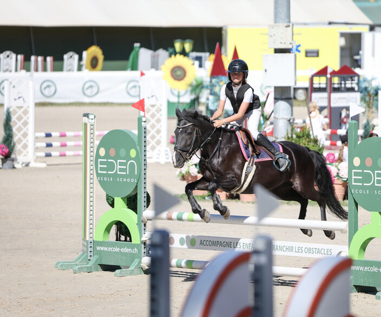 Description de l'image