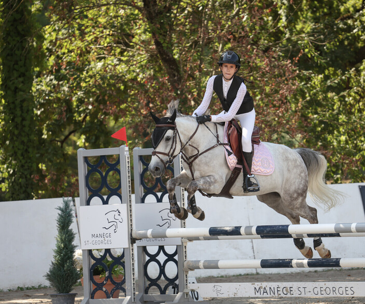 Description de l'image