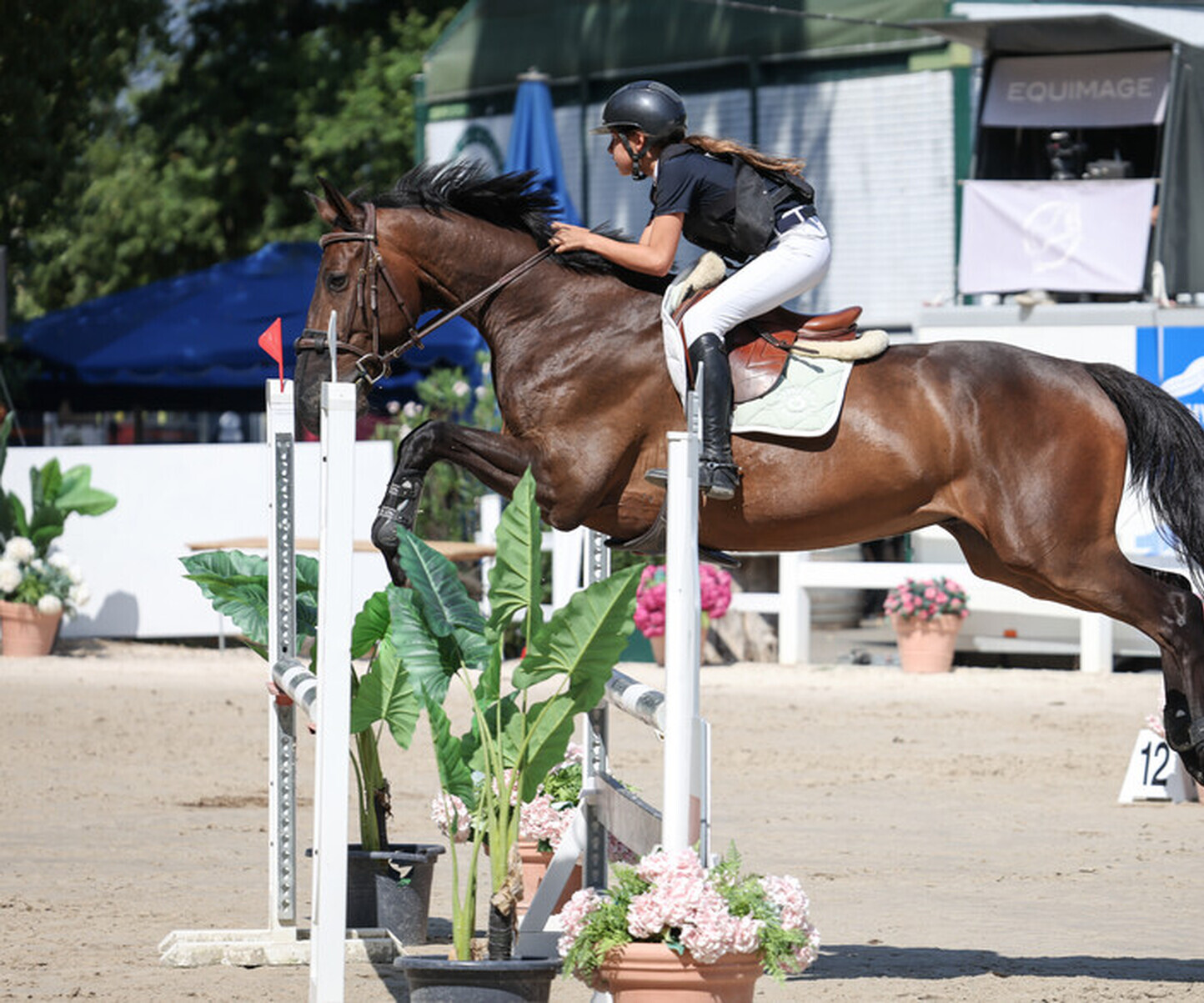 Description de l'image