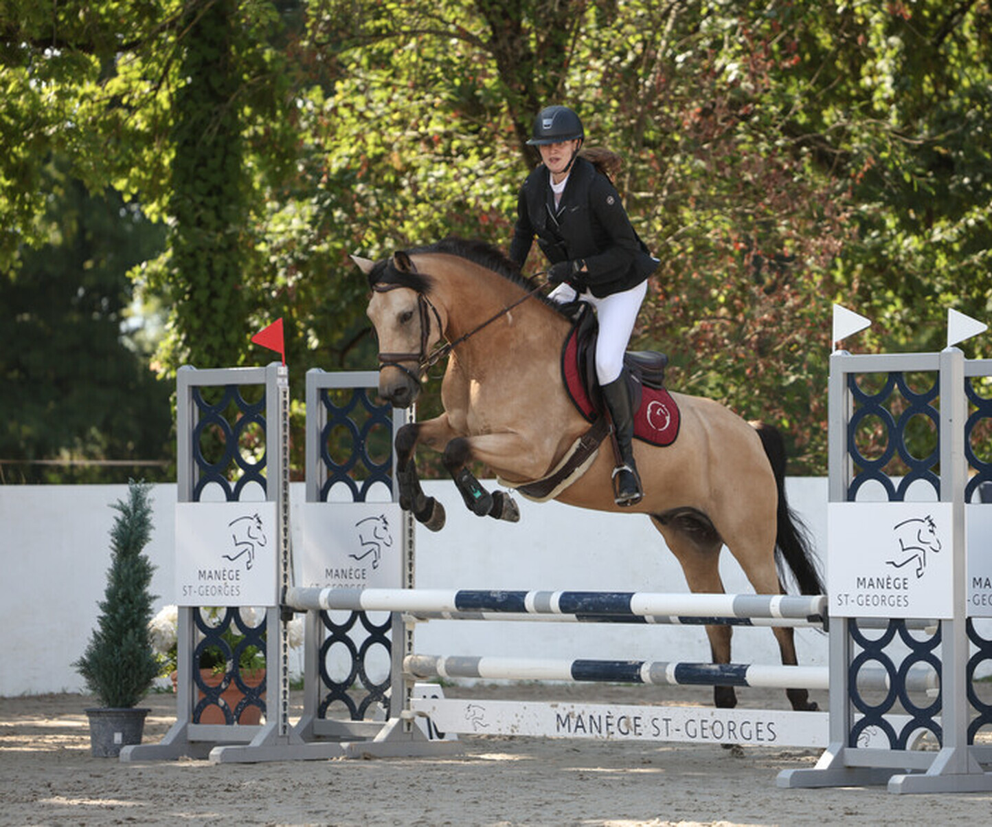 Description de l'image