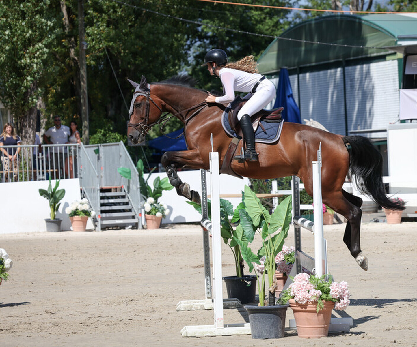 Description de l'image