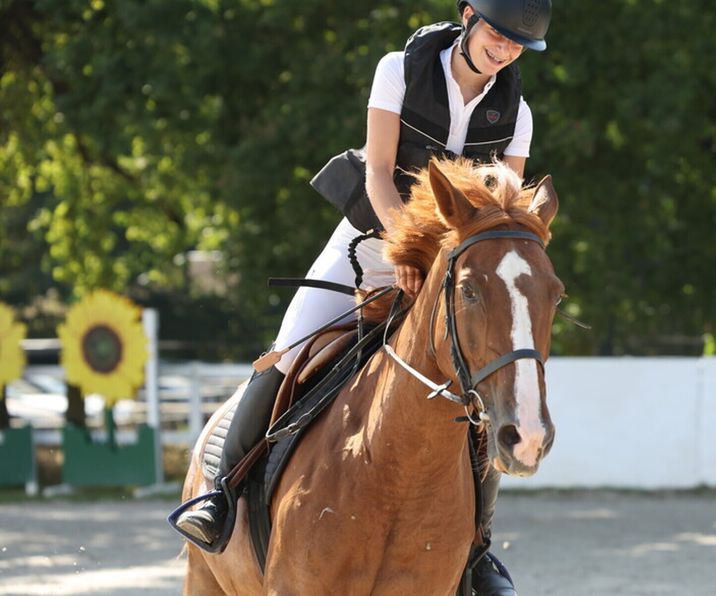 Description de l'image