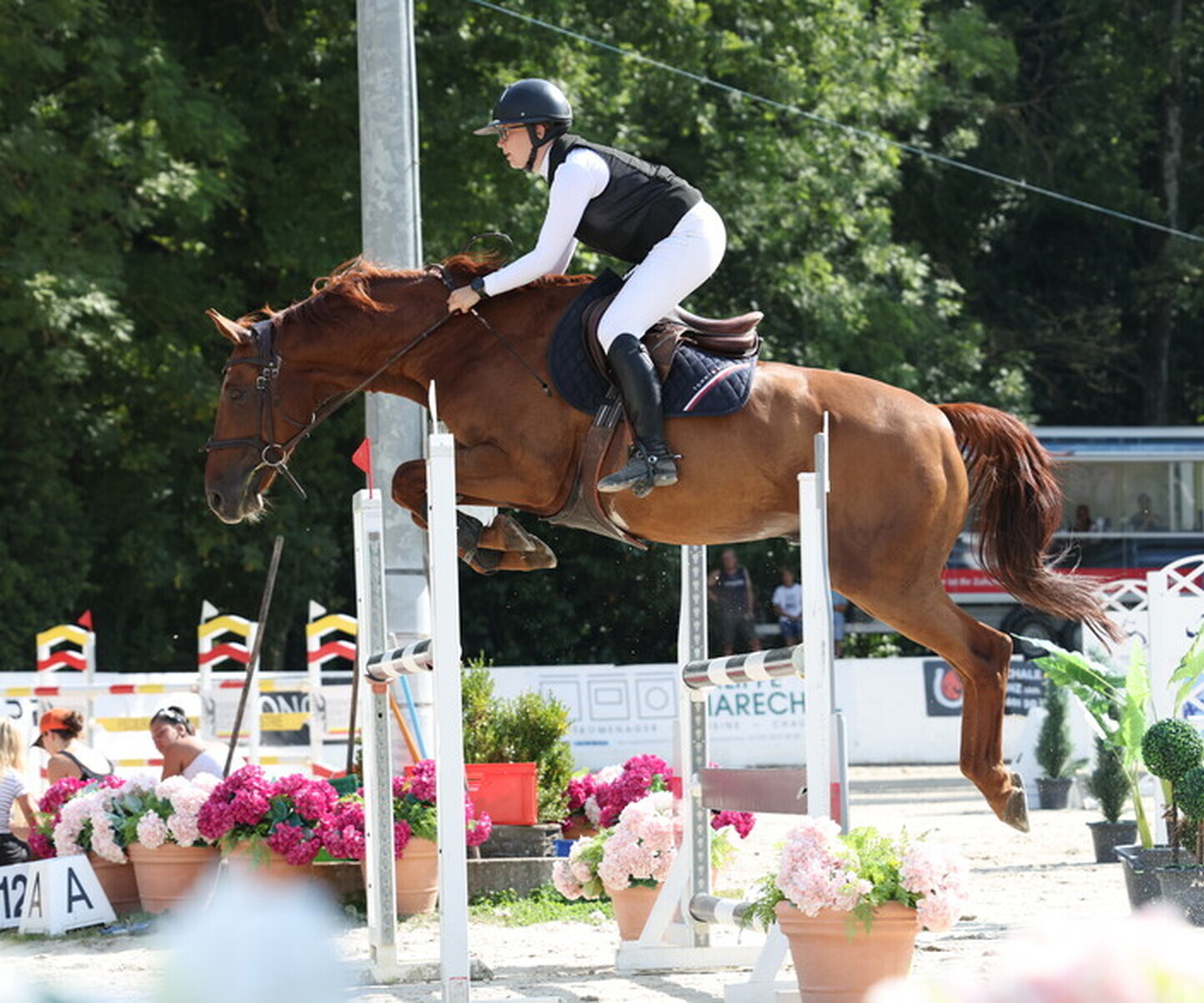 Description de l'image