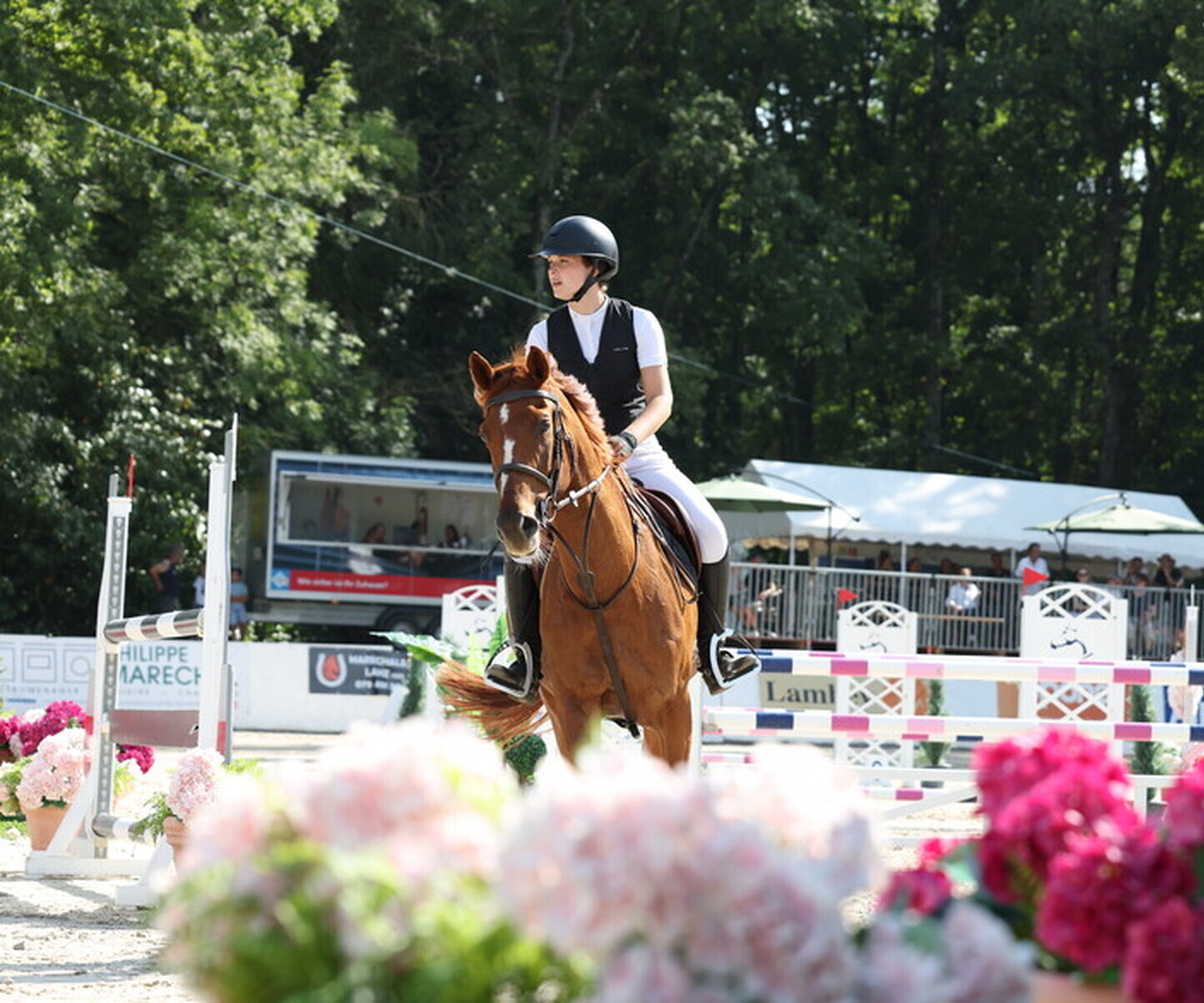 Description de l'image