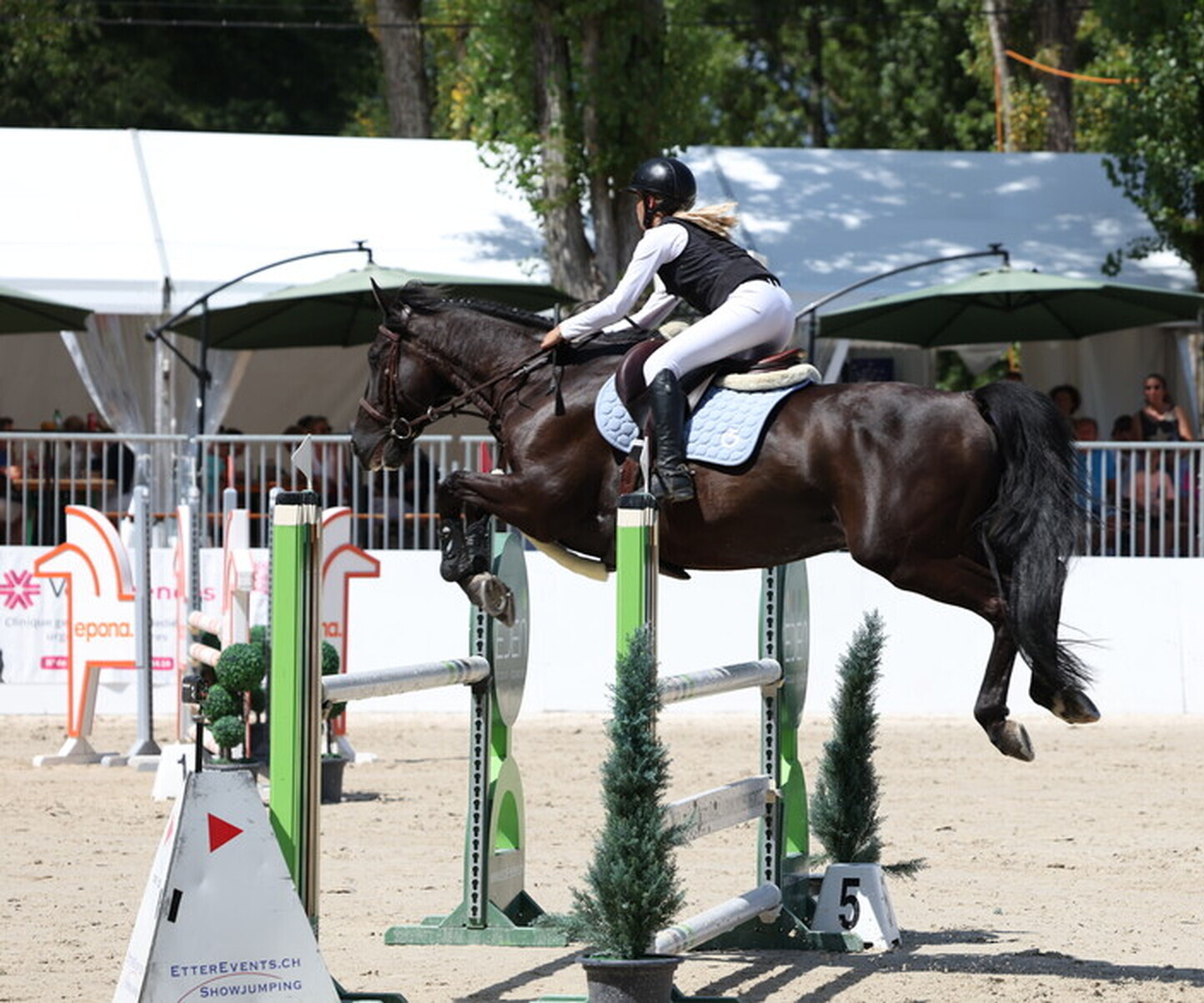 Description de l'image