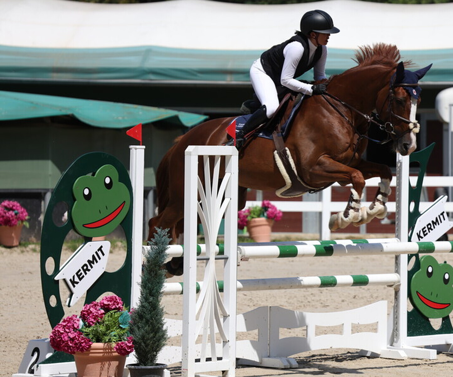 Description de l'image