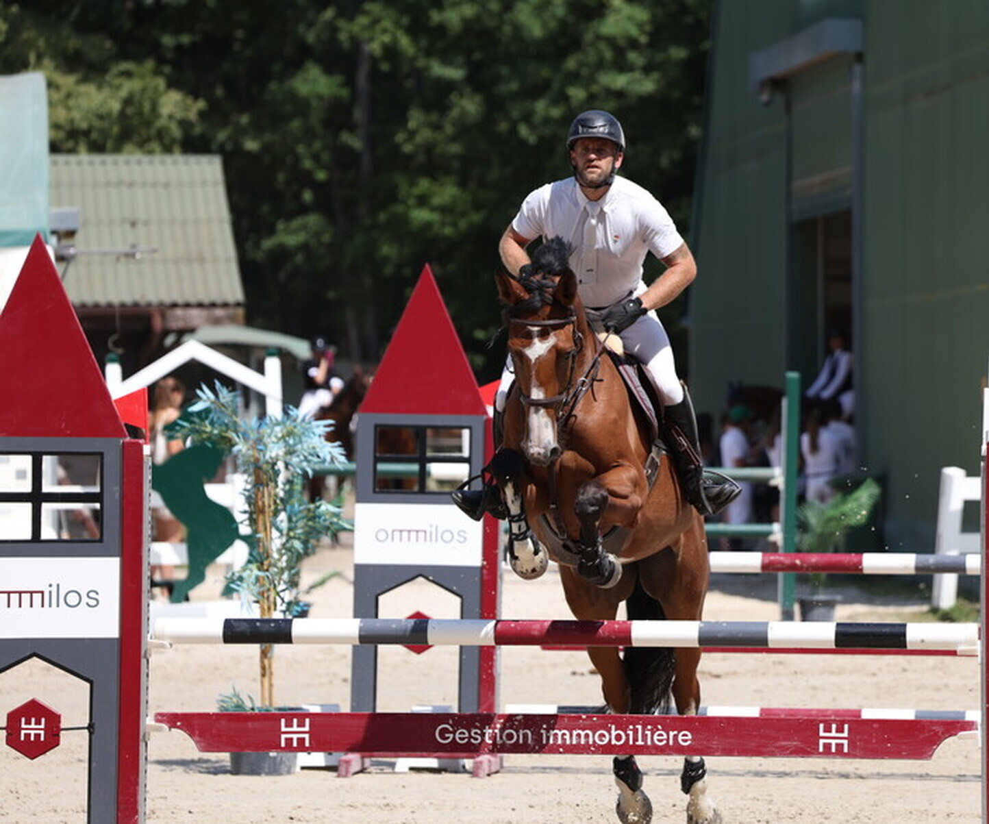 Description de l'image