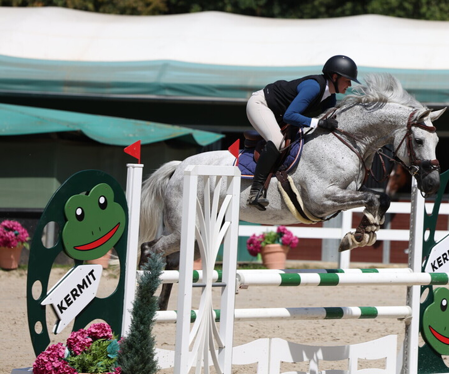 Description de l'image