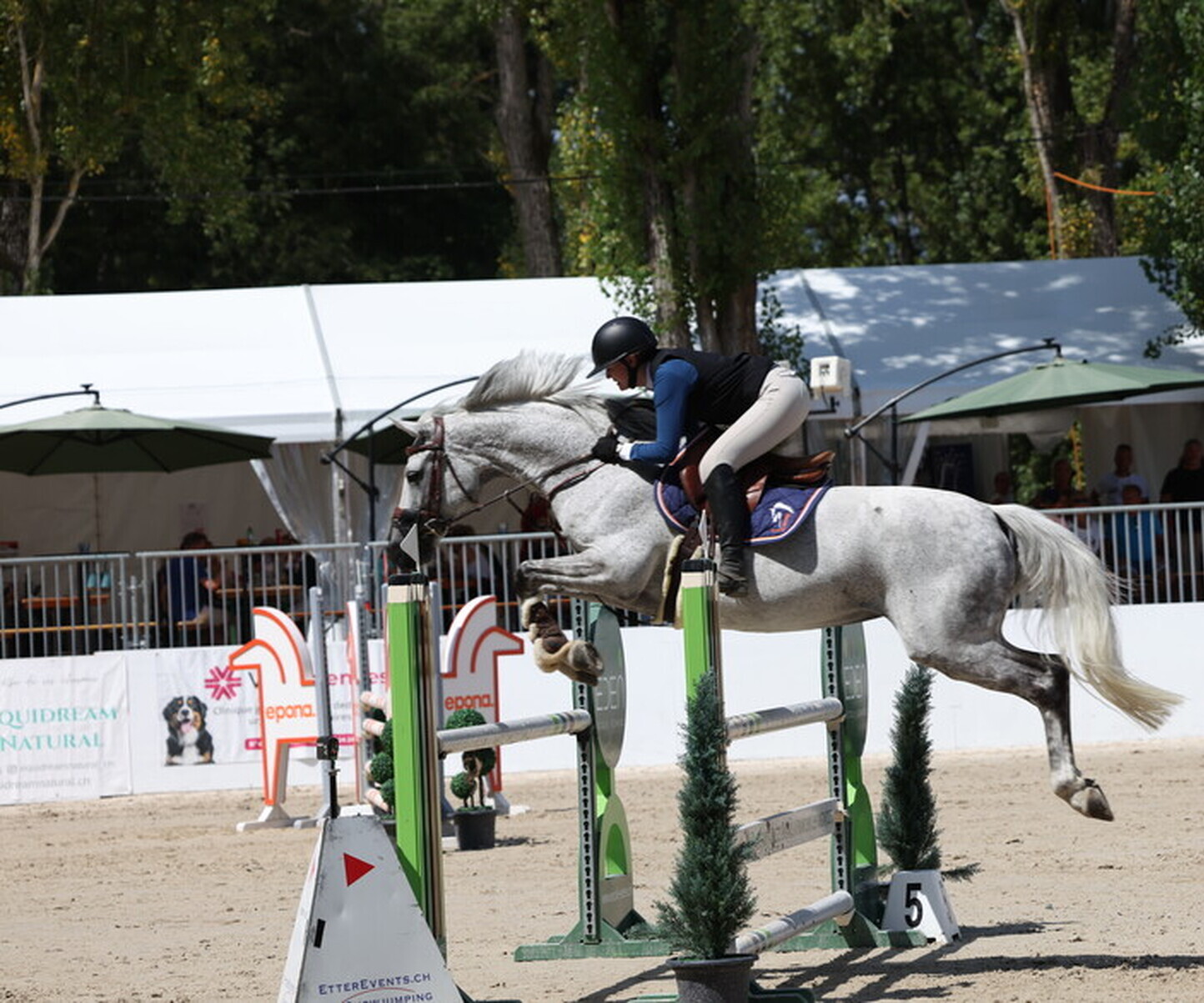 Description de l'image