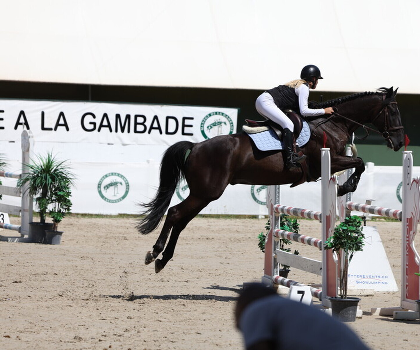 Description de l'image