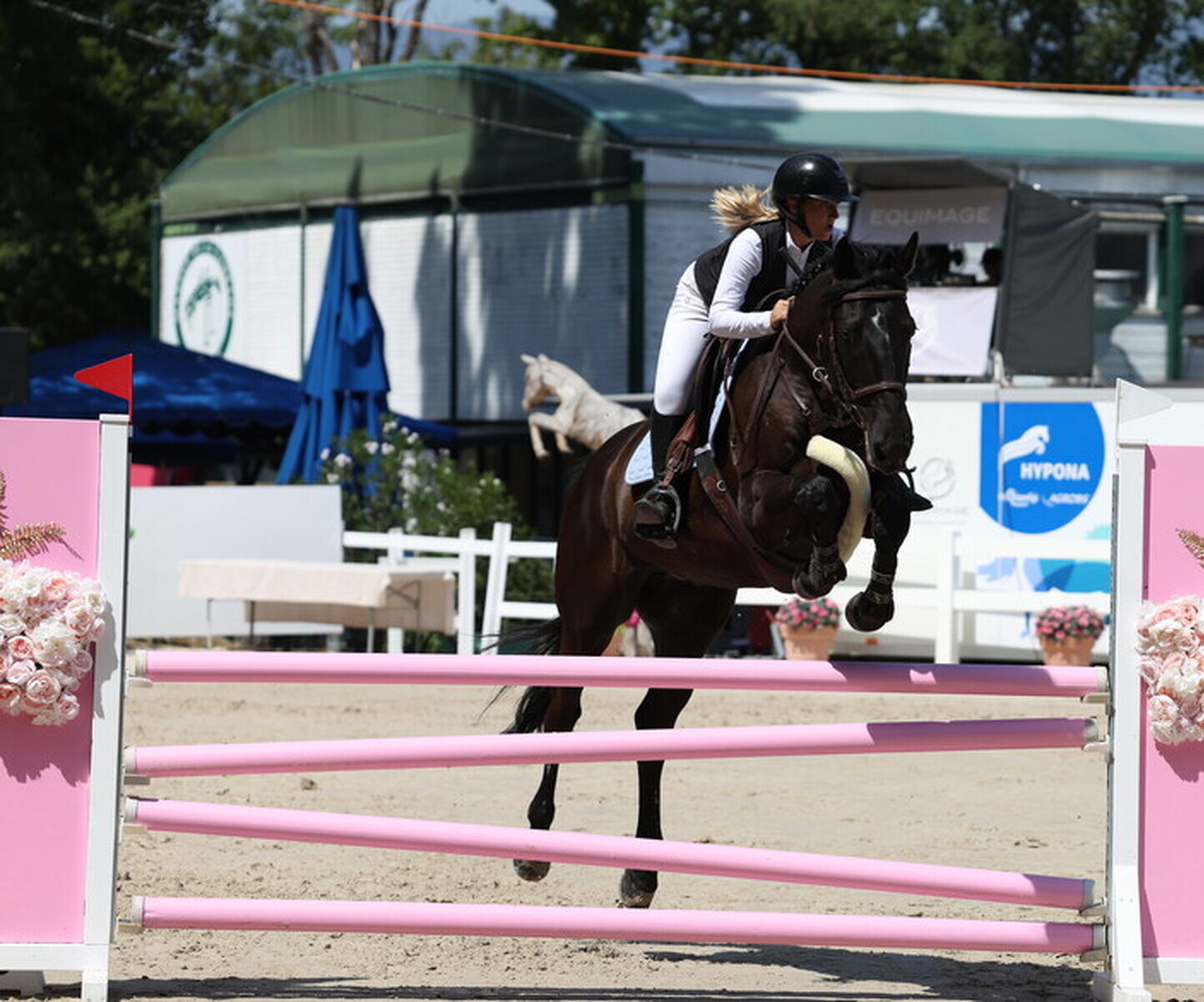 Description de l'image