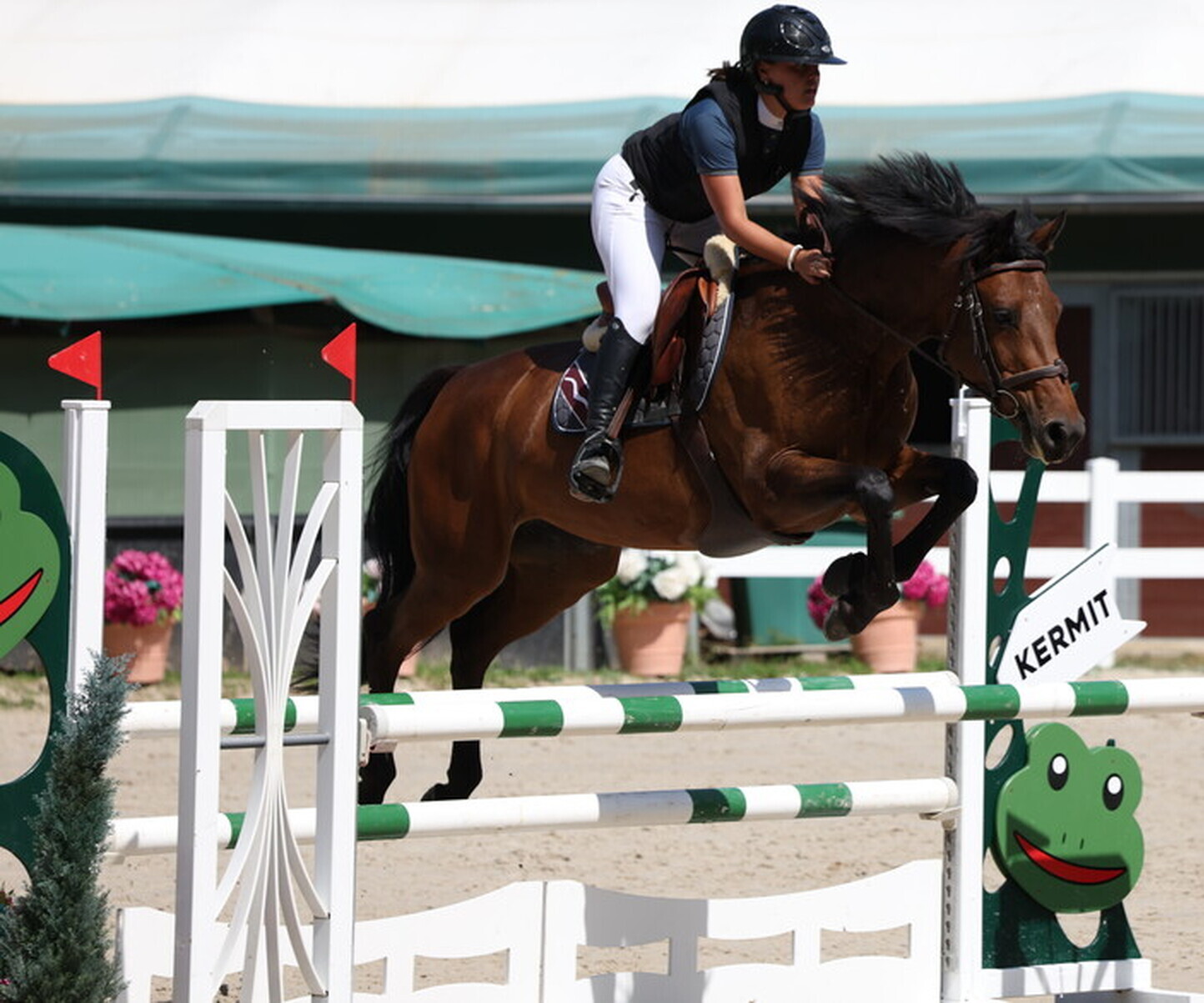 Description de l'image