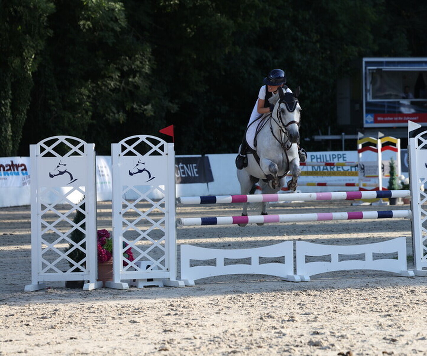 Description de l'image