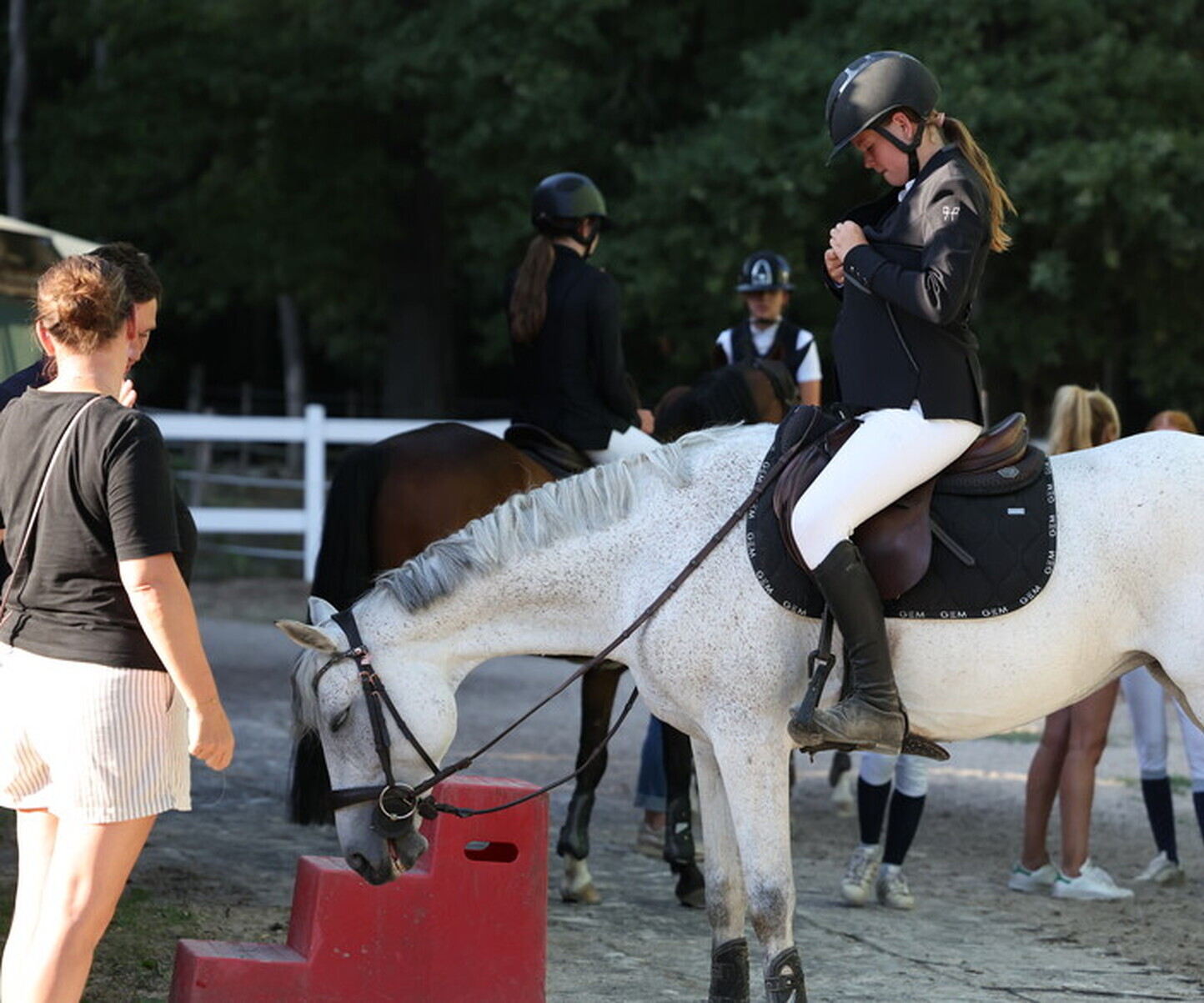 Description de l'image