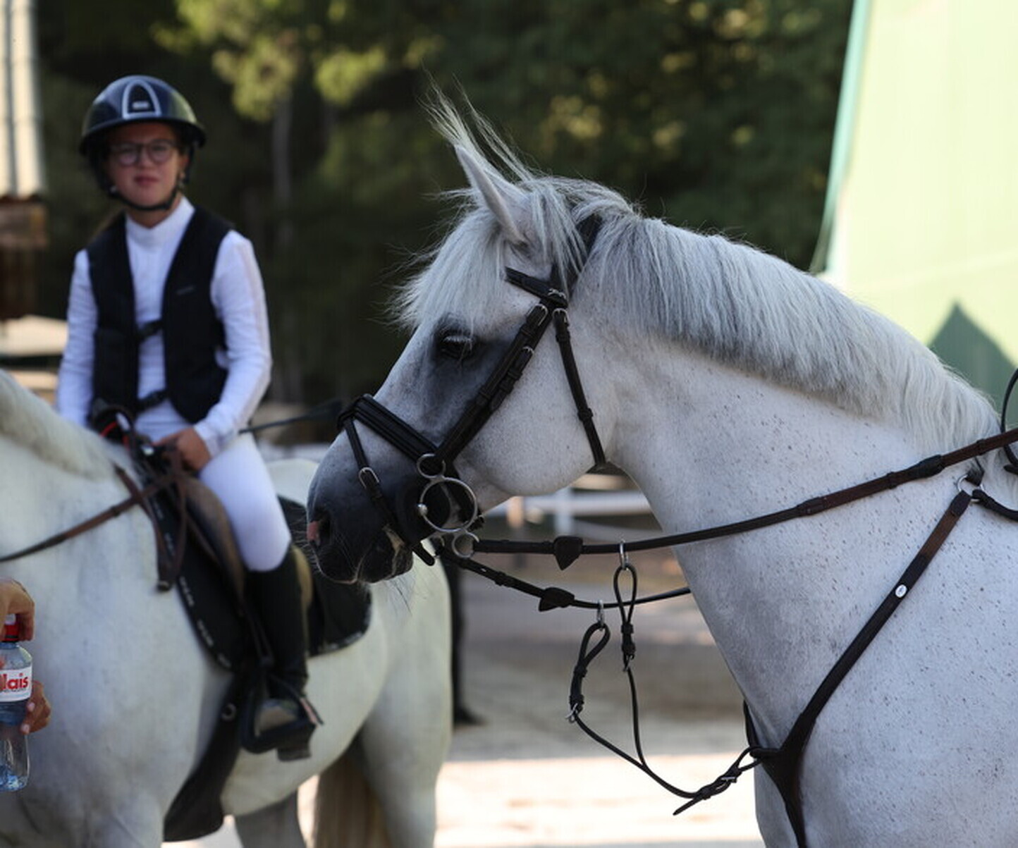 Description de l'image