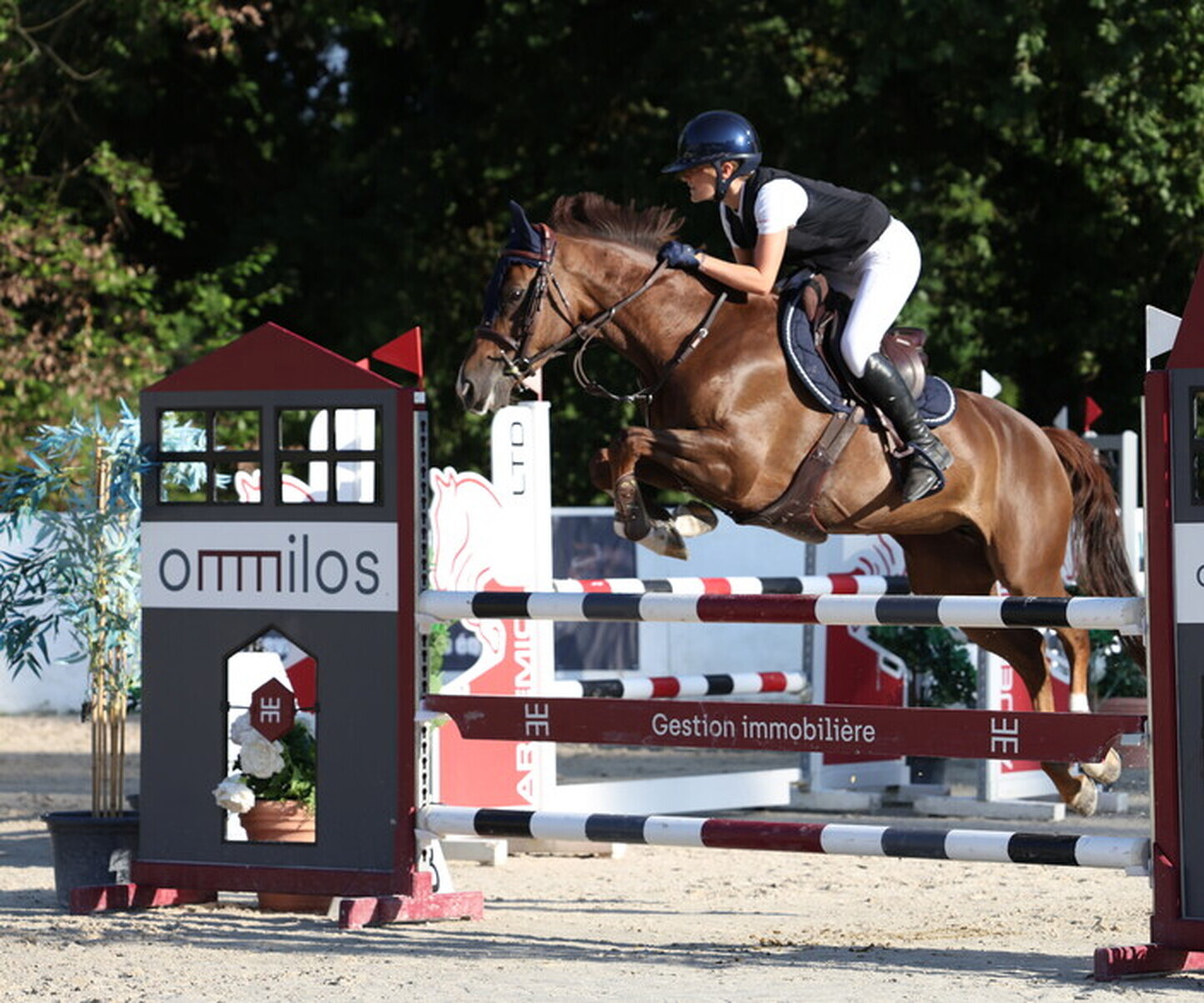 Description de l'image