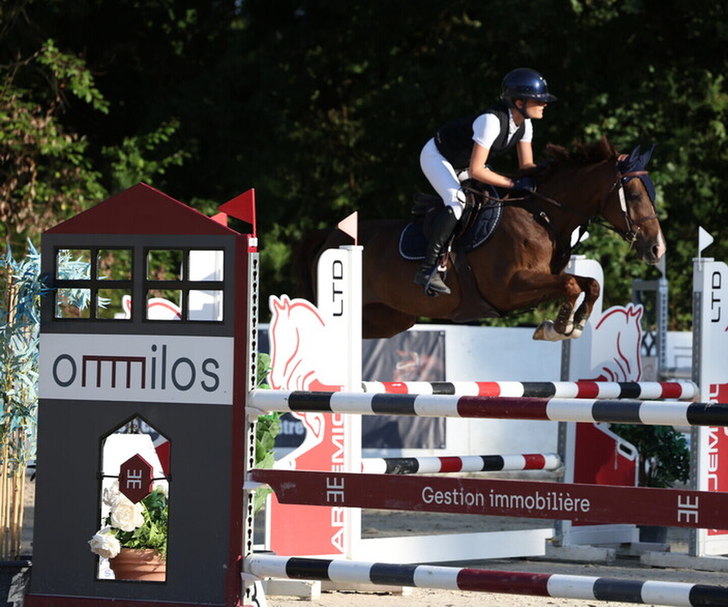 Description de l'image