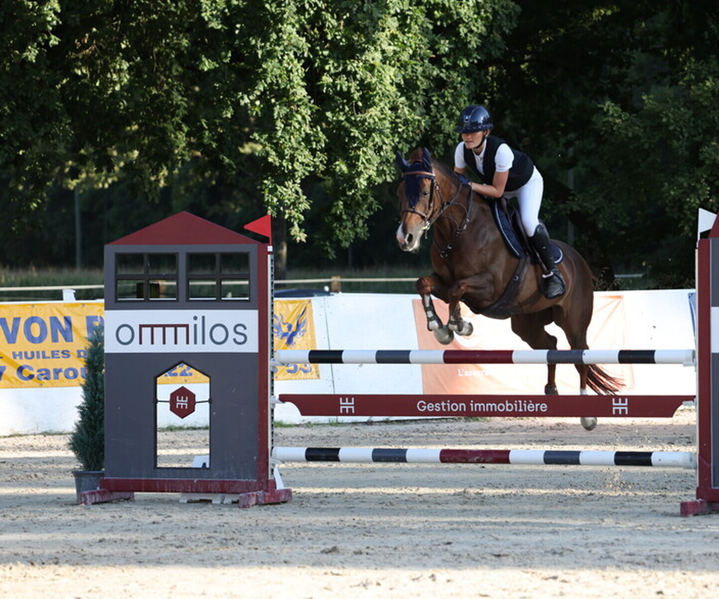 Description de l'image