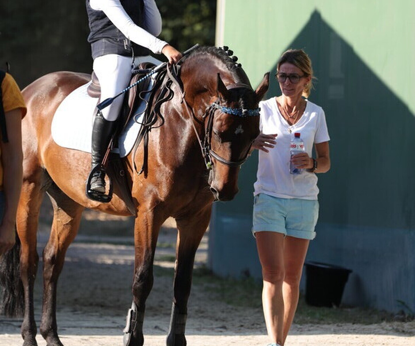 Description de l'image