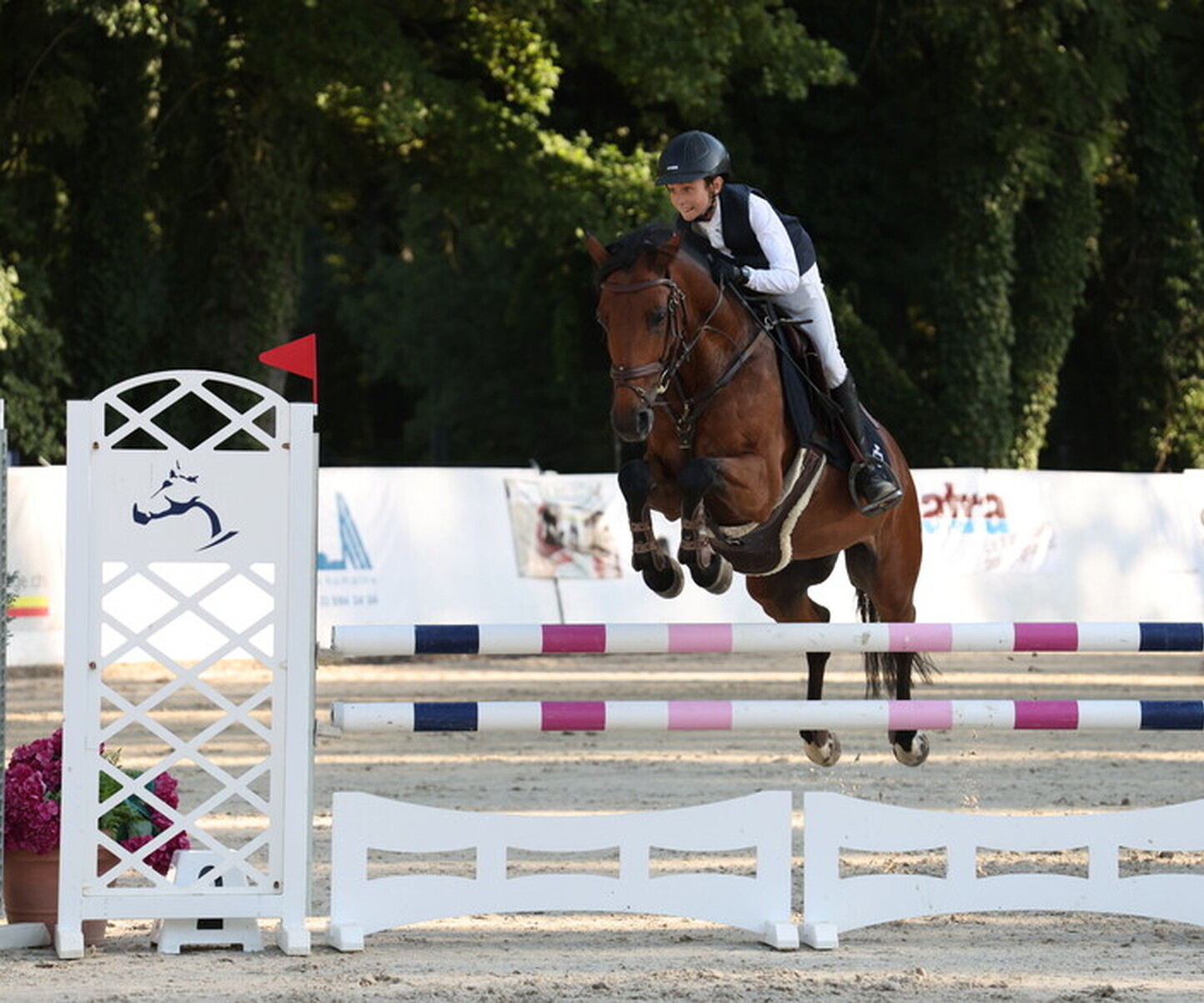 Description de l'image