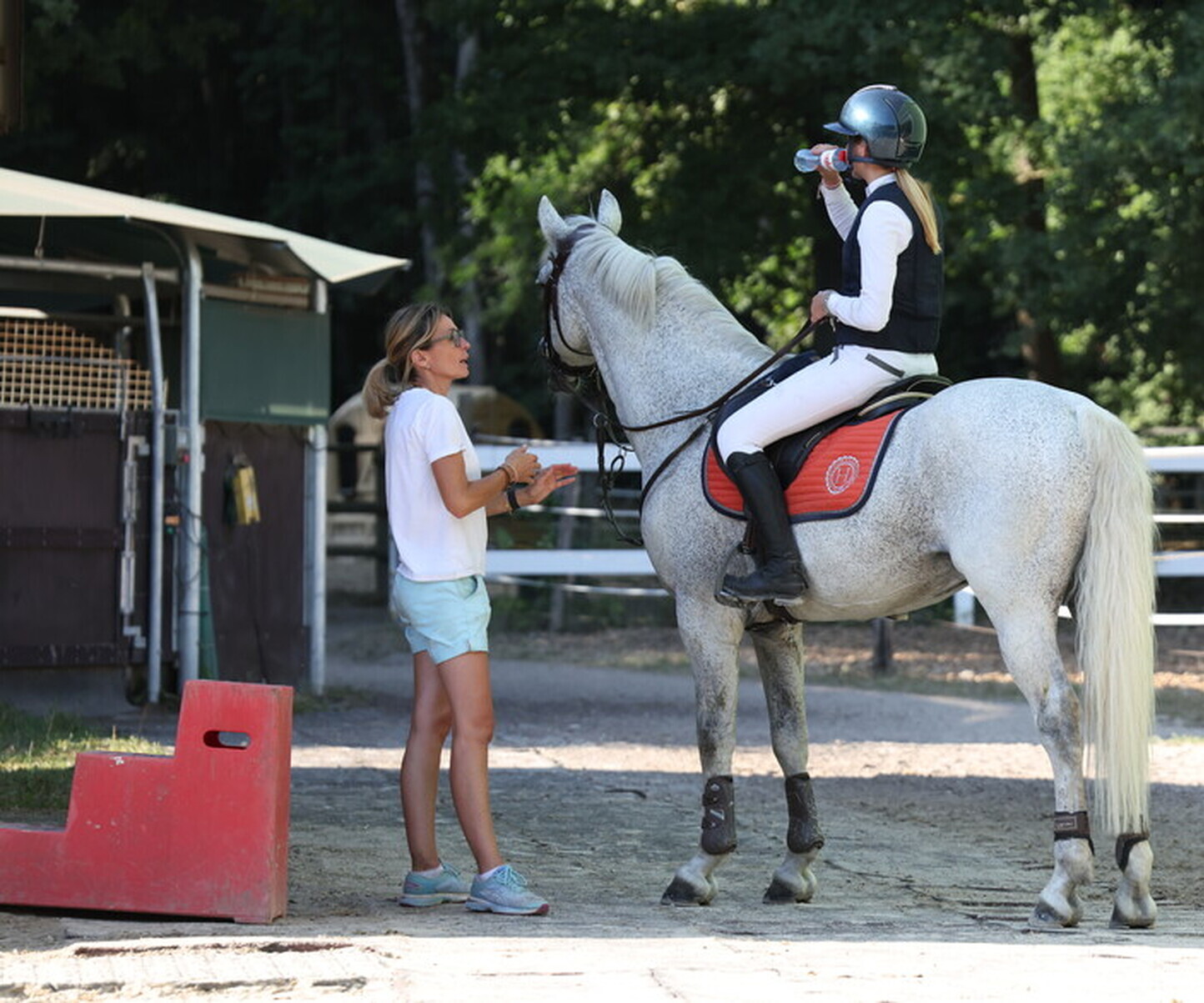 Description de l'image