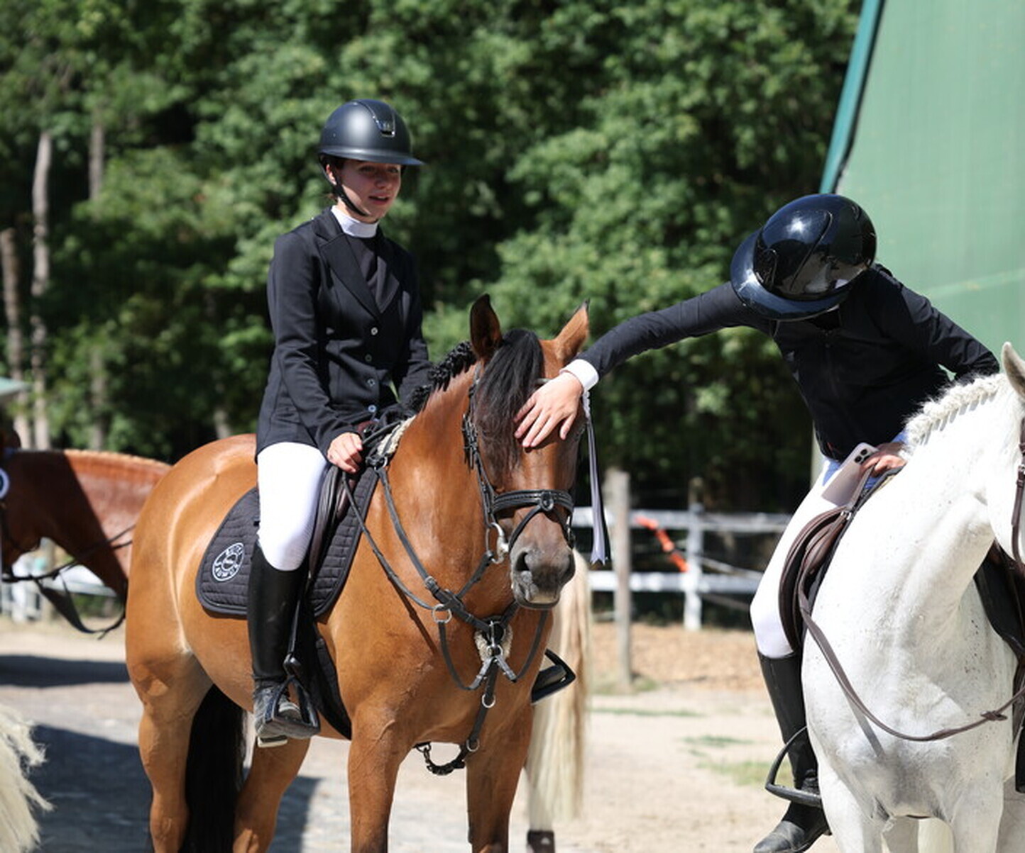 Description de l'image