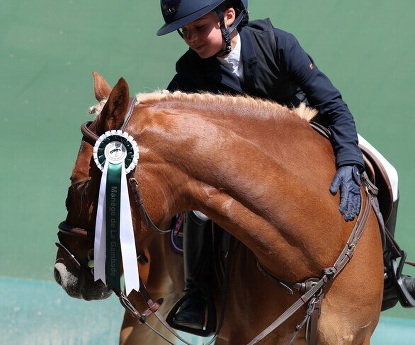 Description de l'image