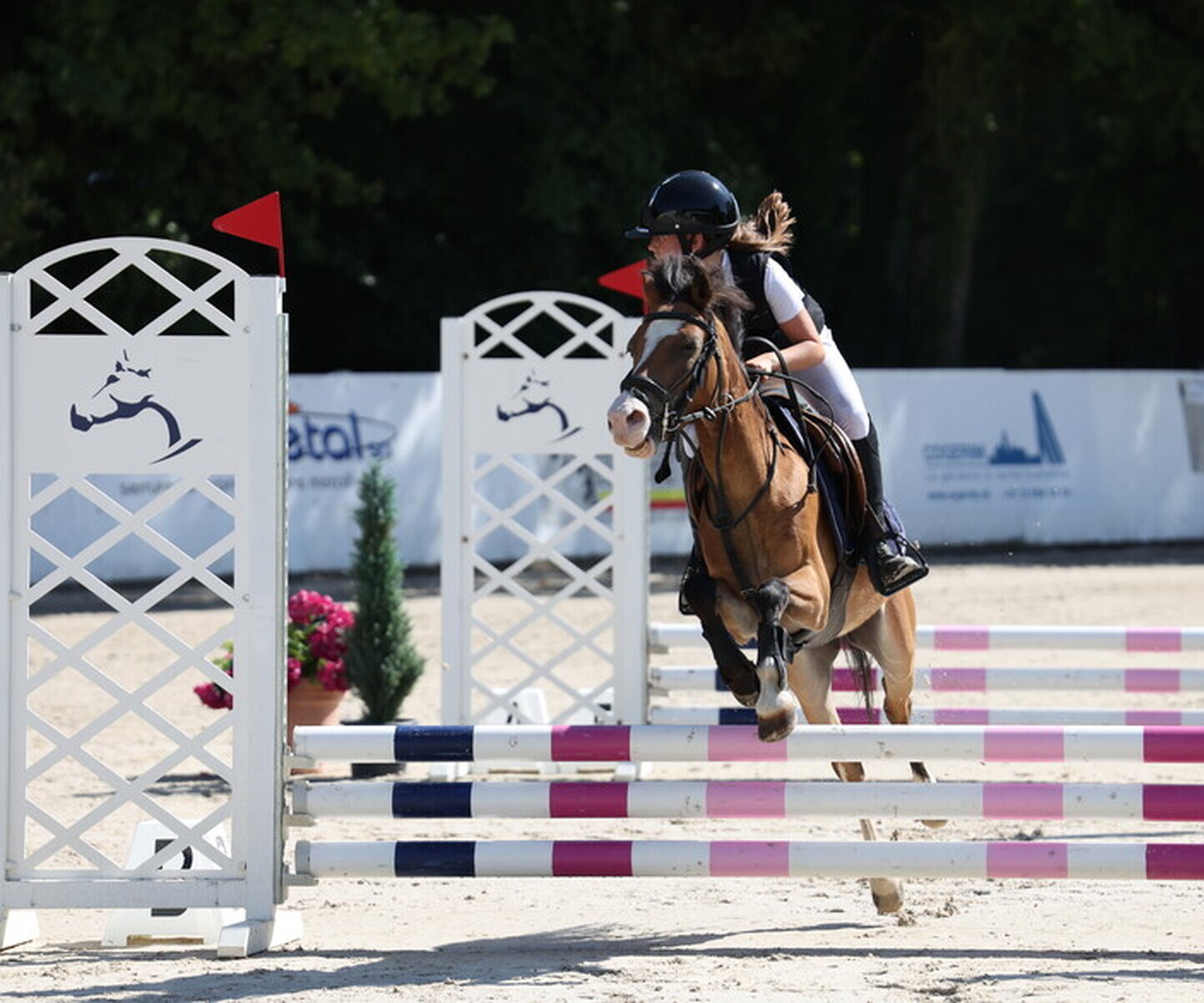 Description de l'image