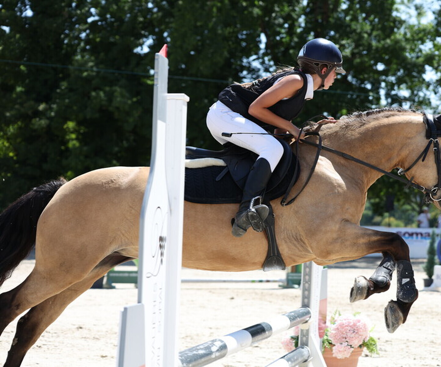 Description de l'image