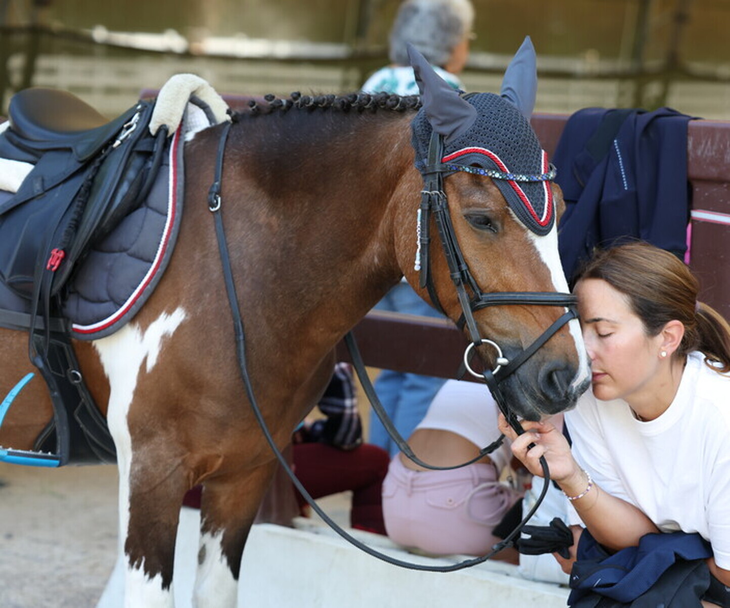 Description de l'image