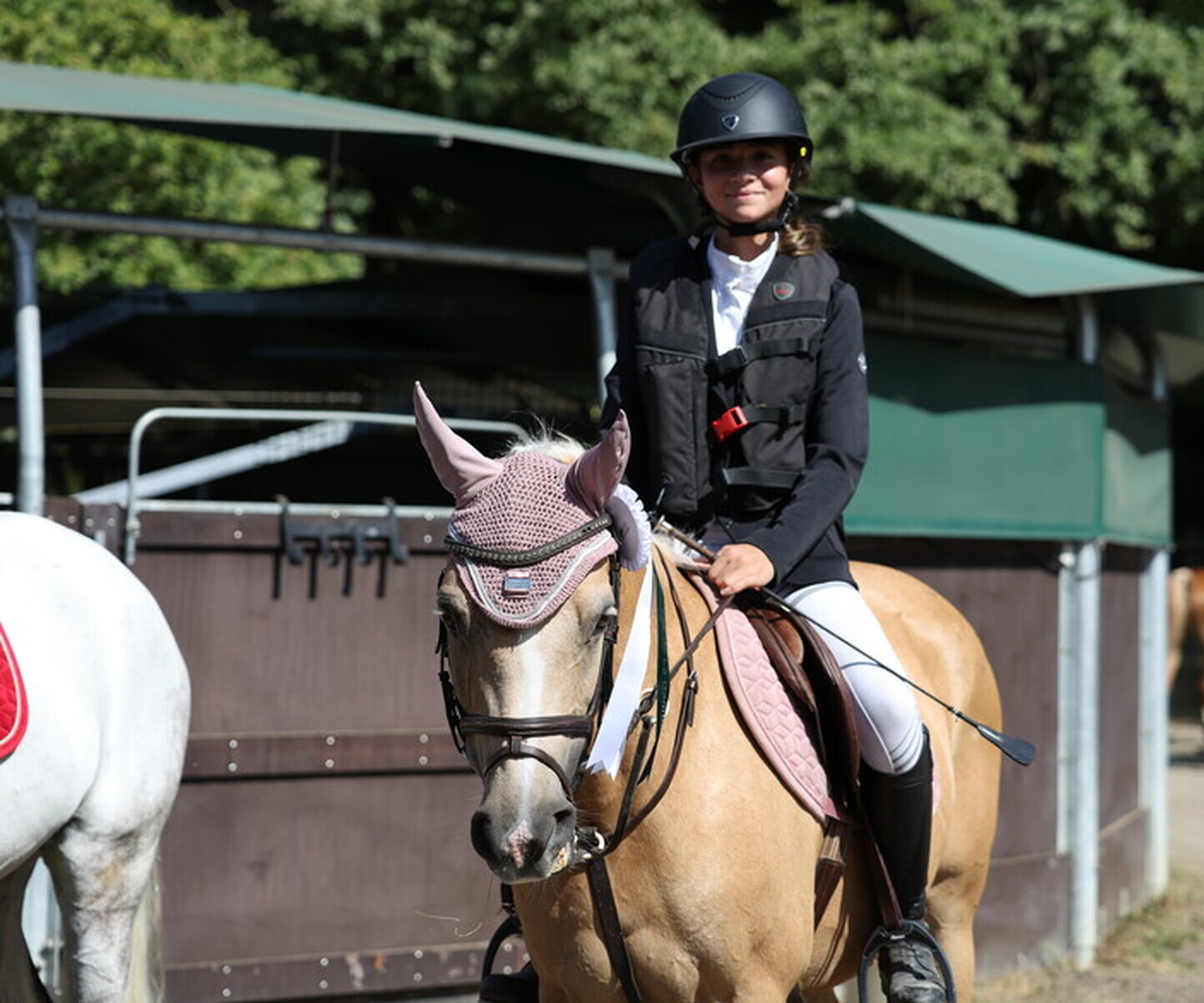 Description de l'image