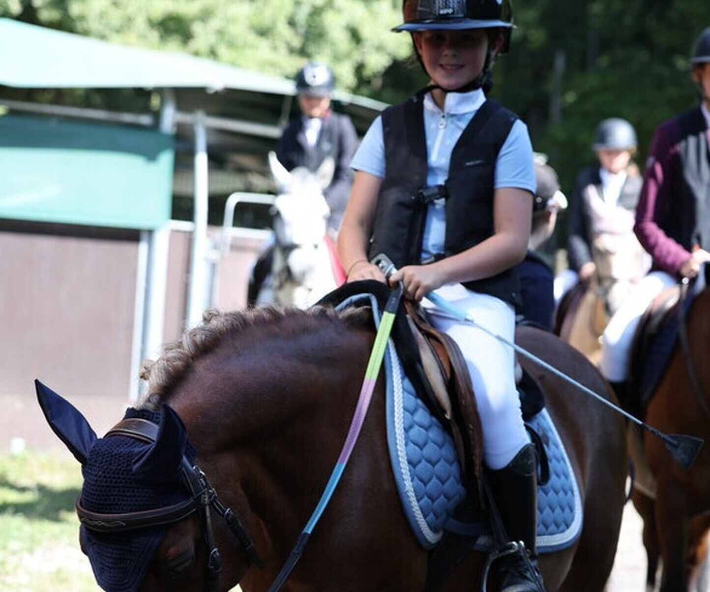 Description de l'image