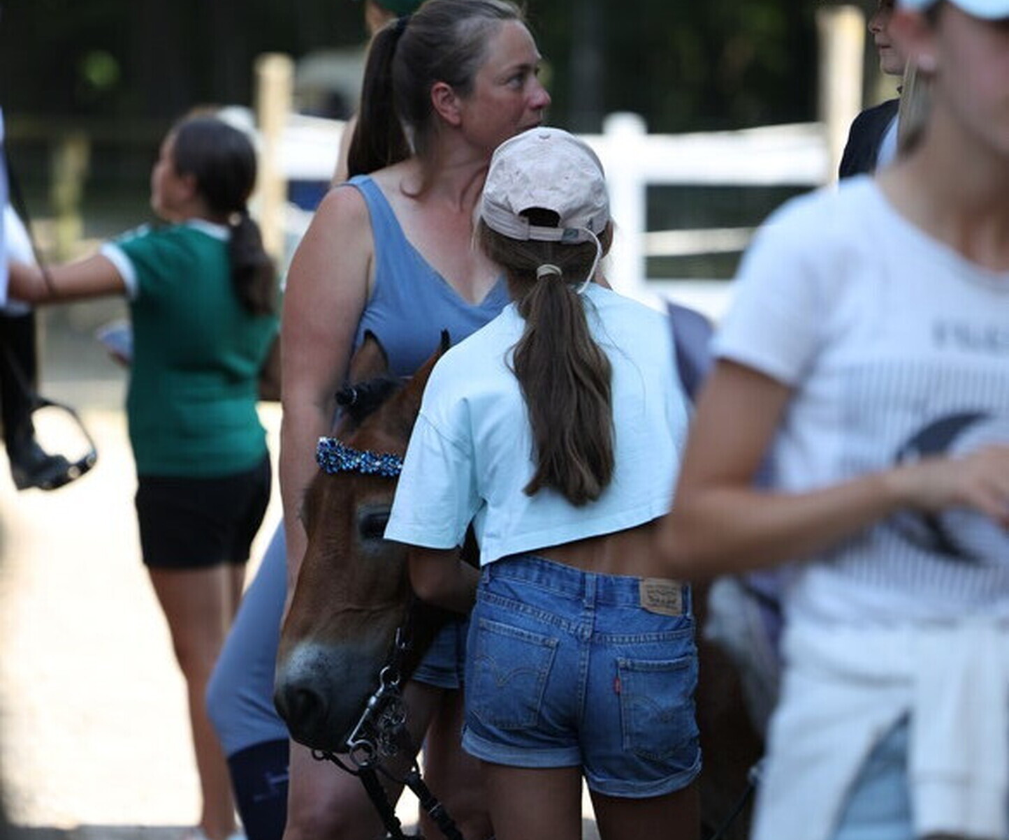 Description de l'image