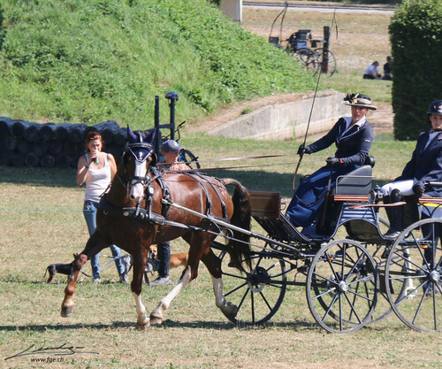 Attelage Satigny 2021