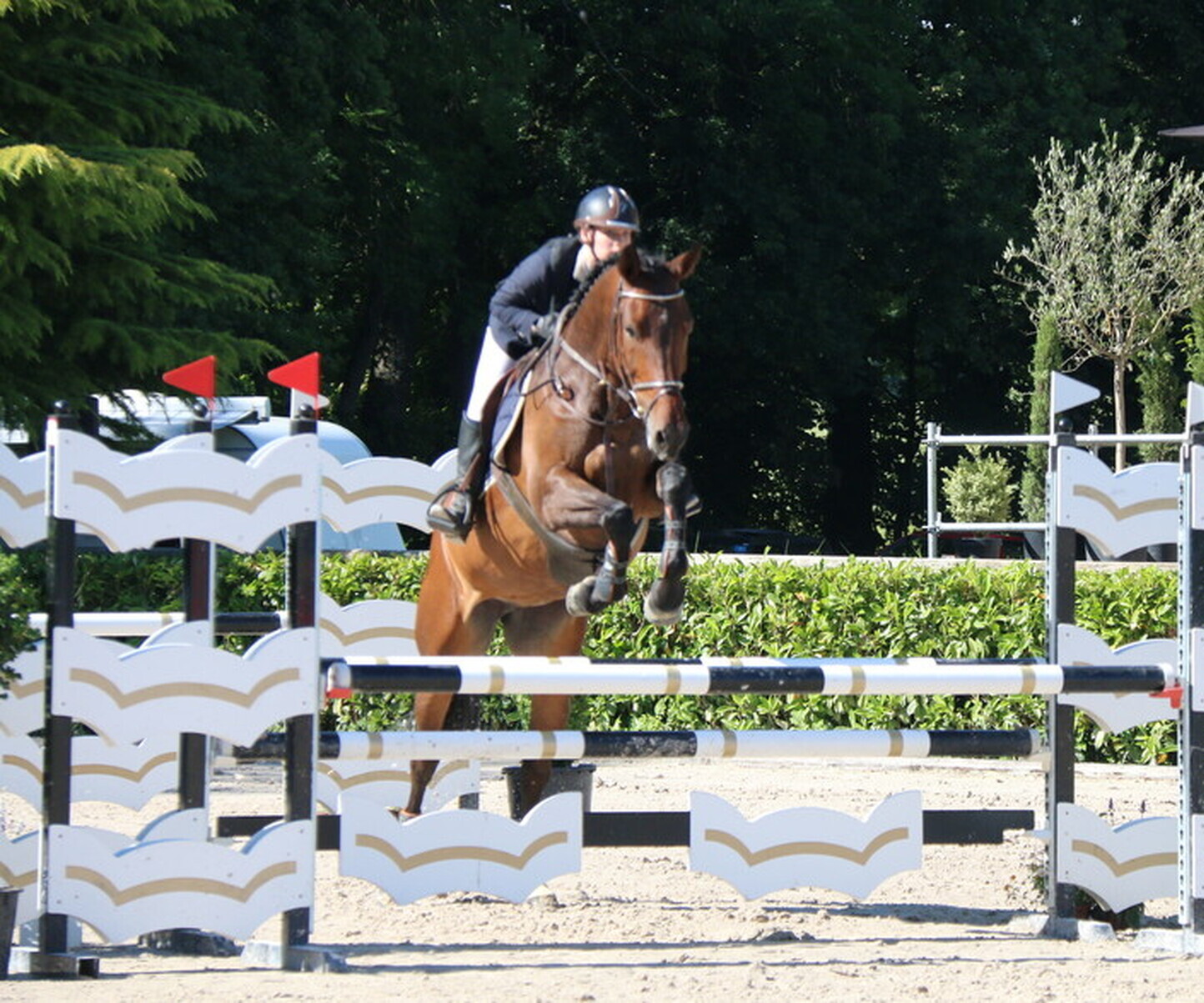 Description de l'image