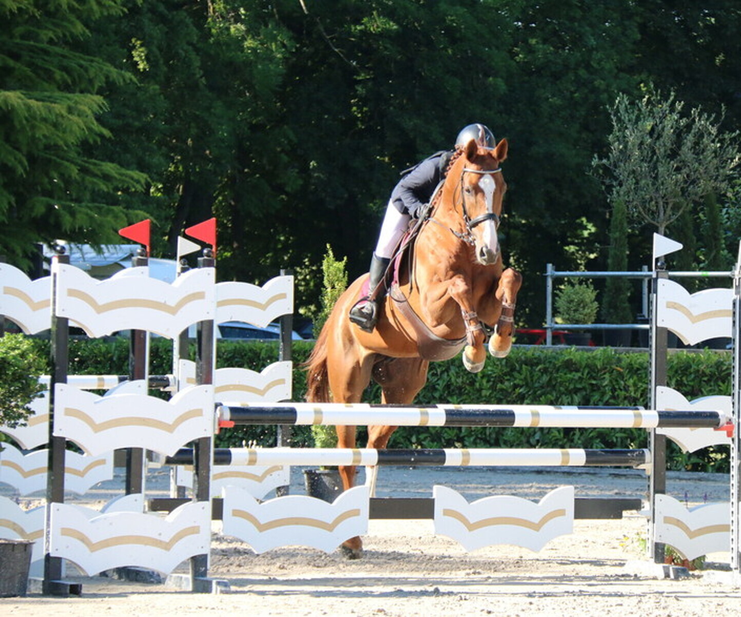 Description de l'image