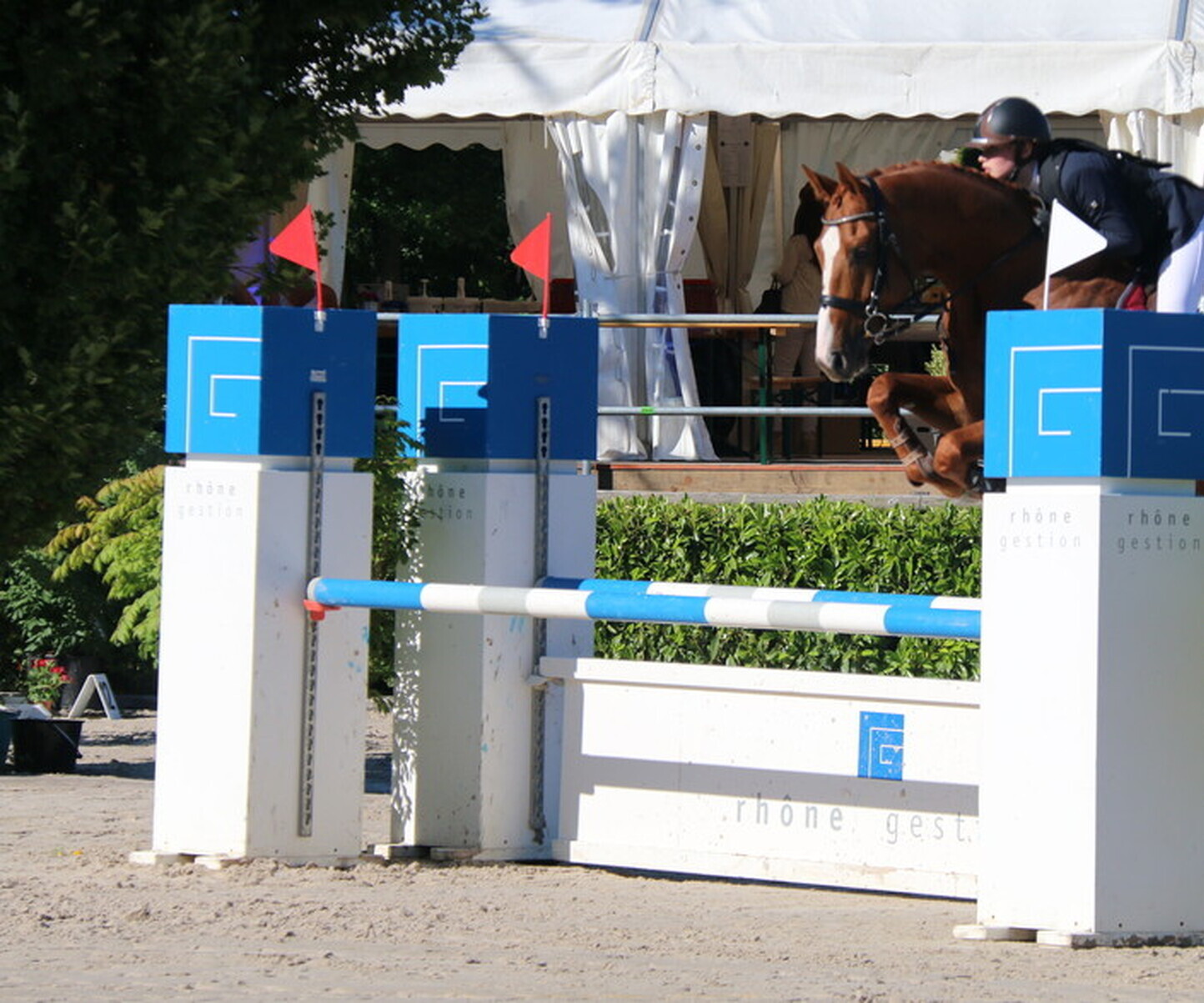 Description de l'image