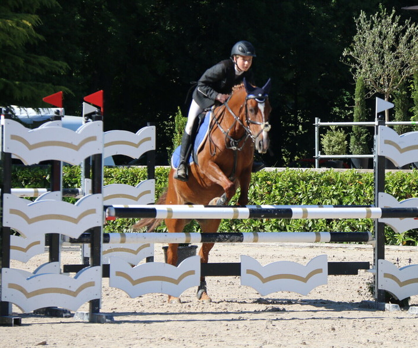 Description de l'image