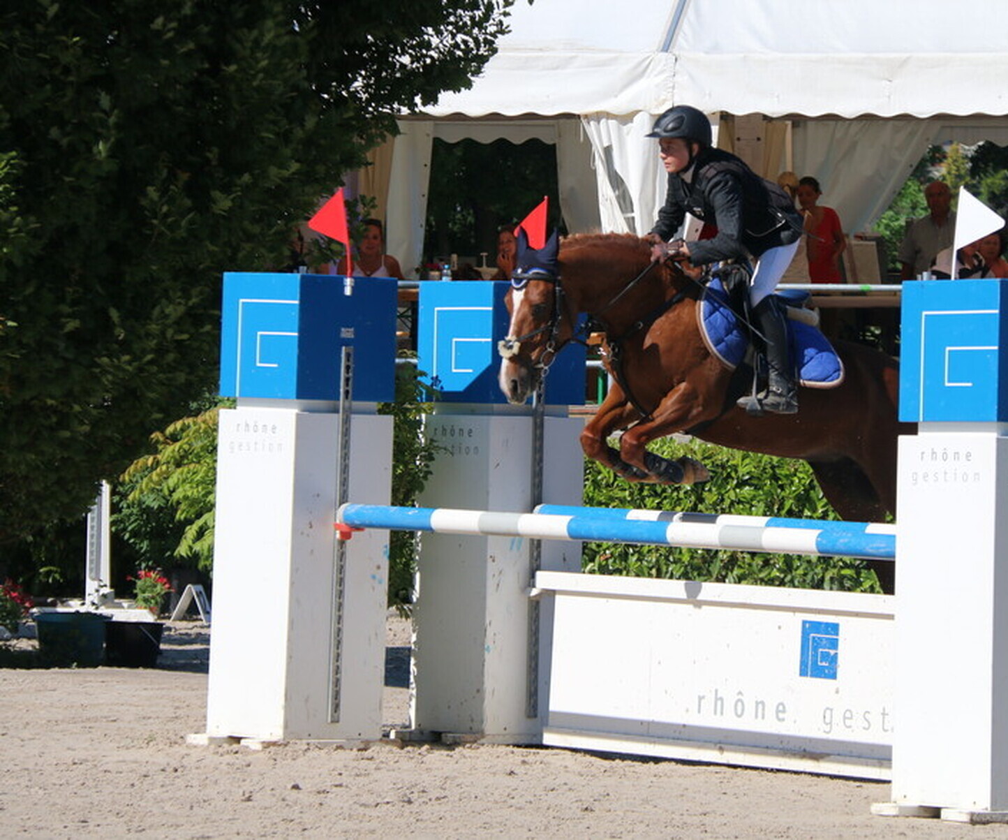 Description de l'image