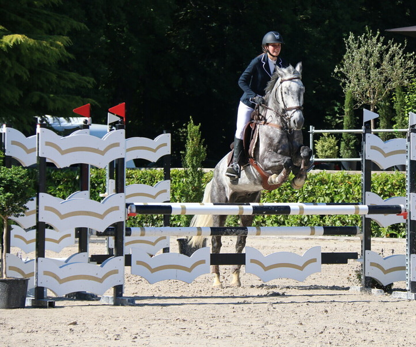 Description de l'image