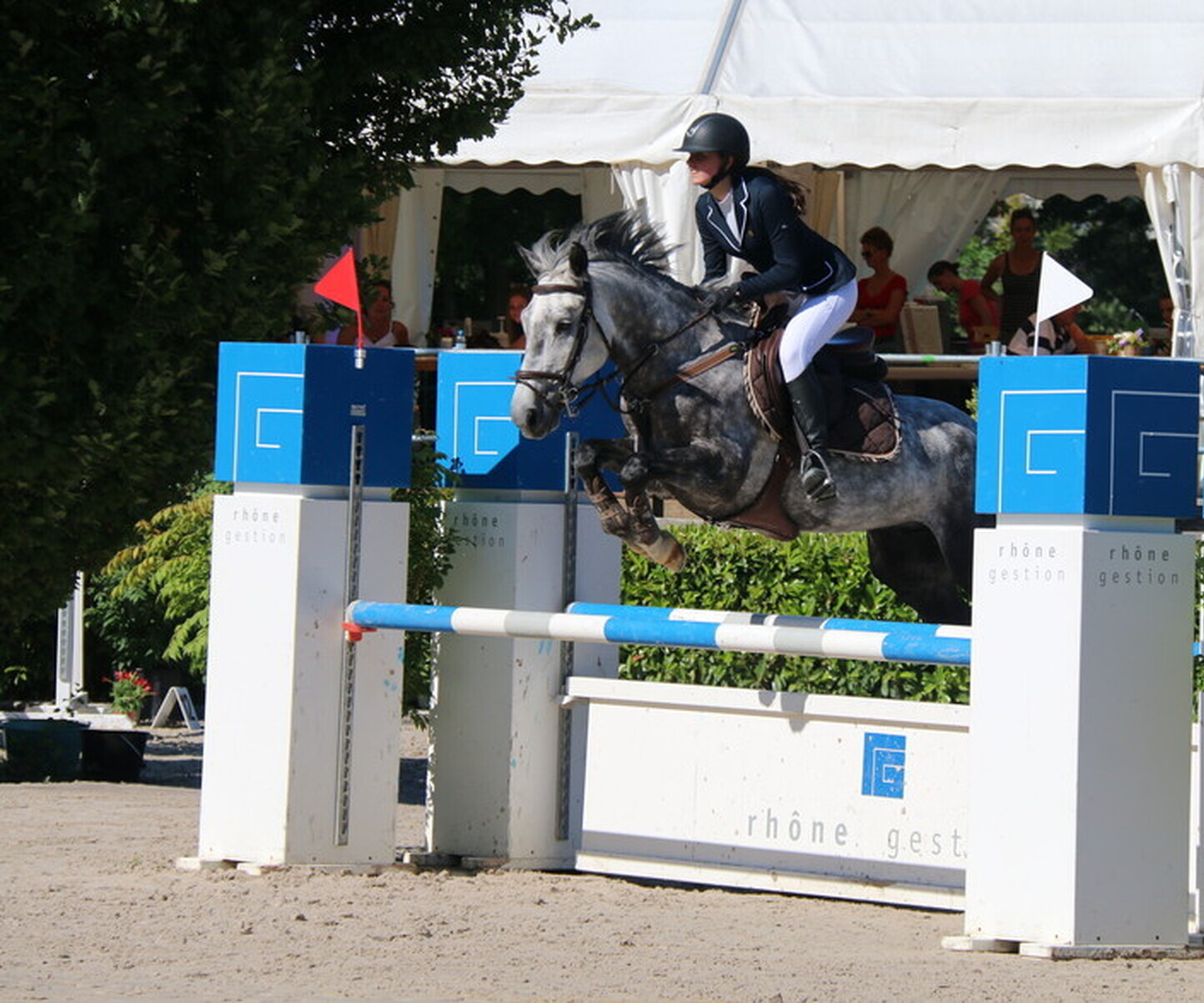 Description de l'image