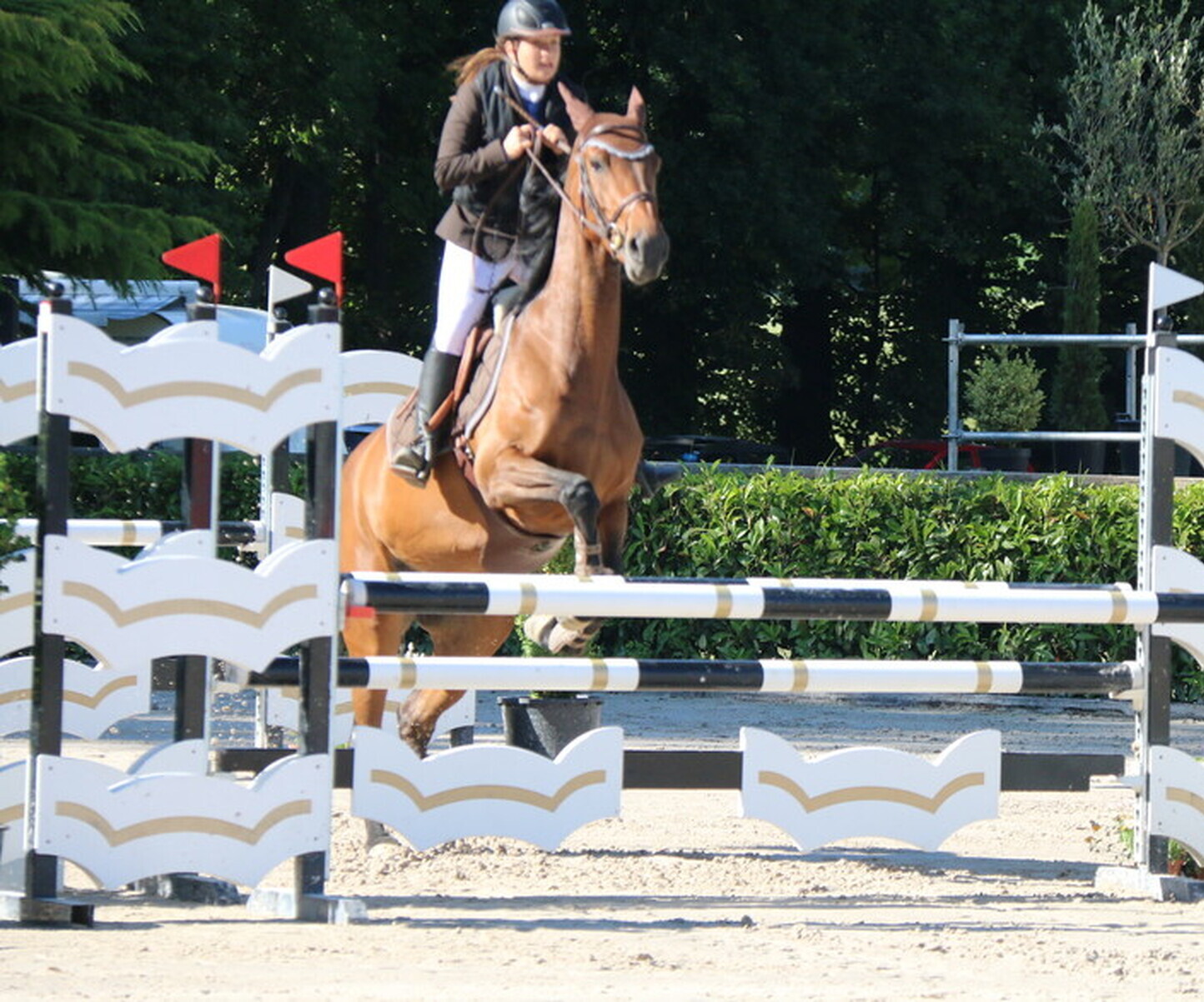 Description de l'image