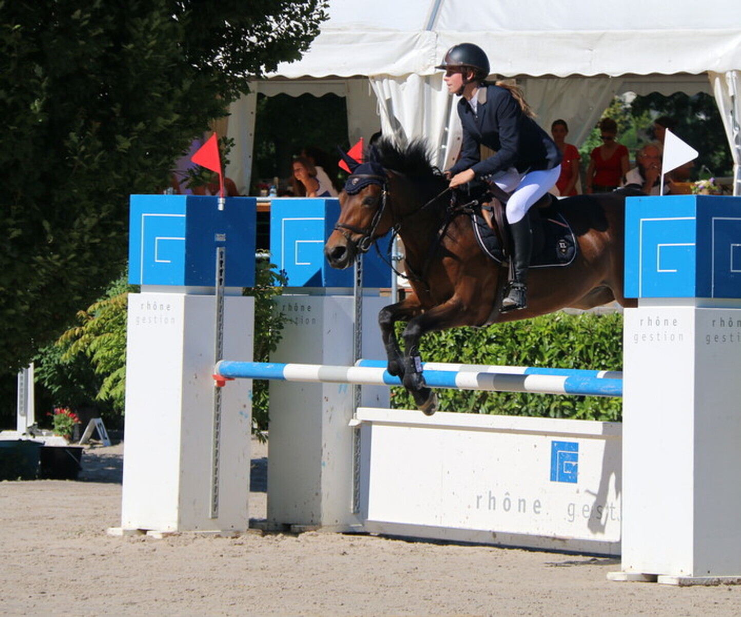 Description de l'image