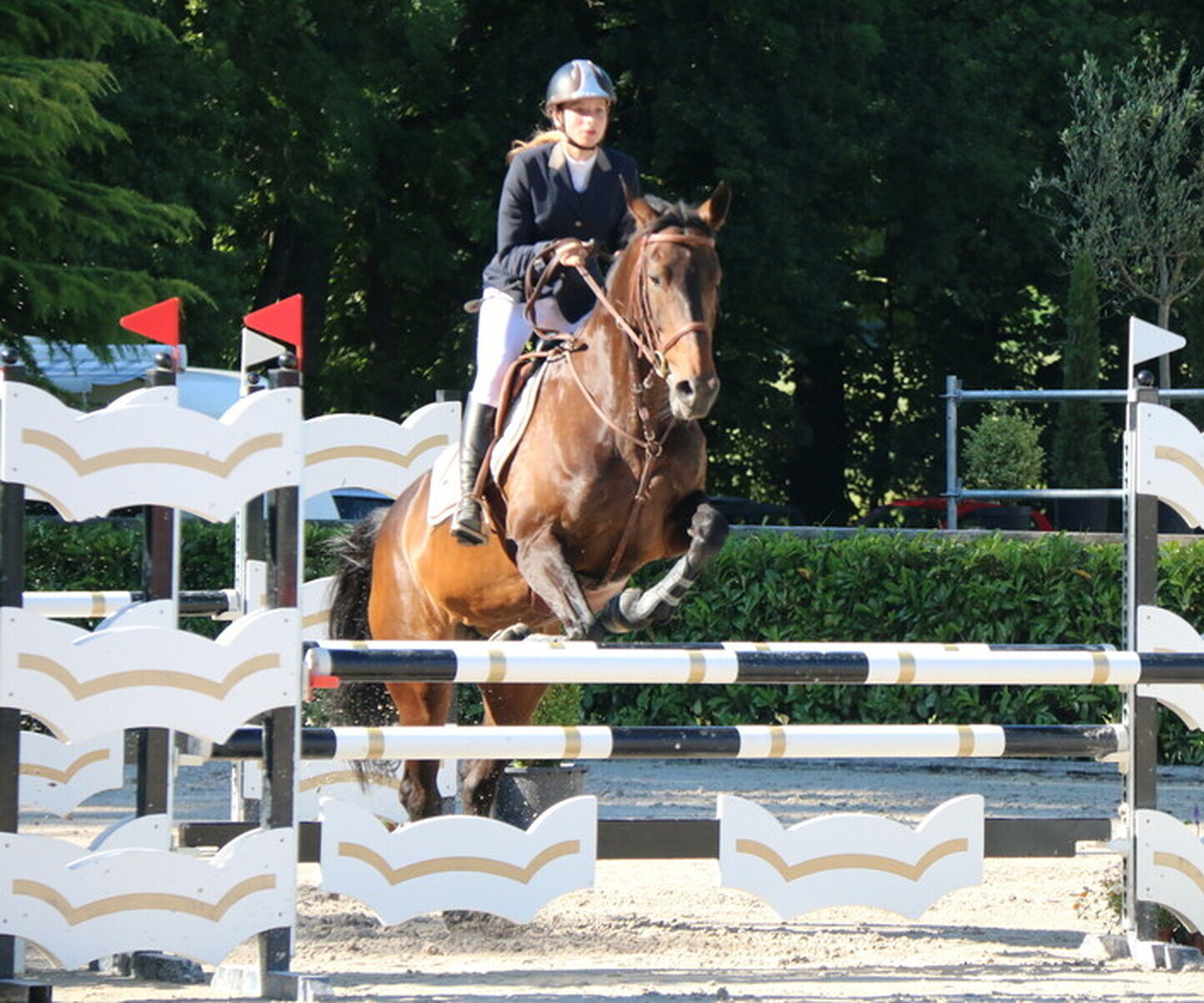 Description de l'image