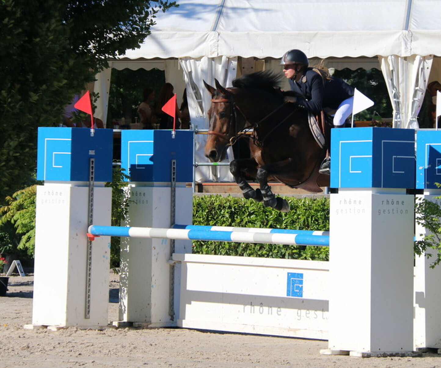 Description de l'image