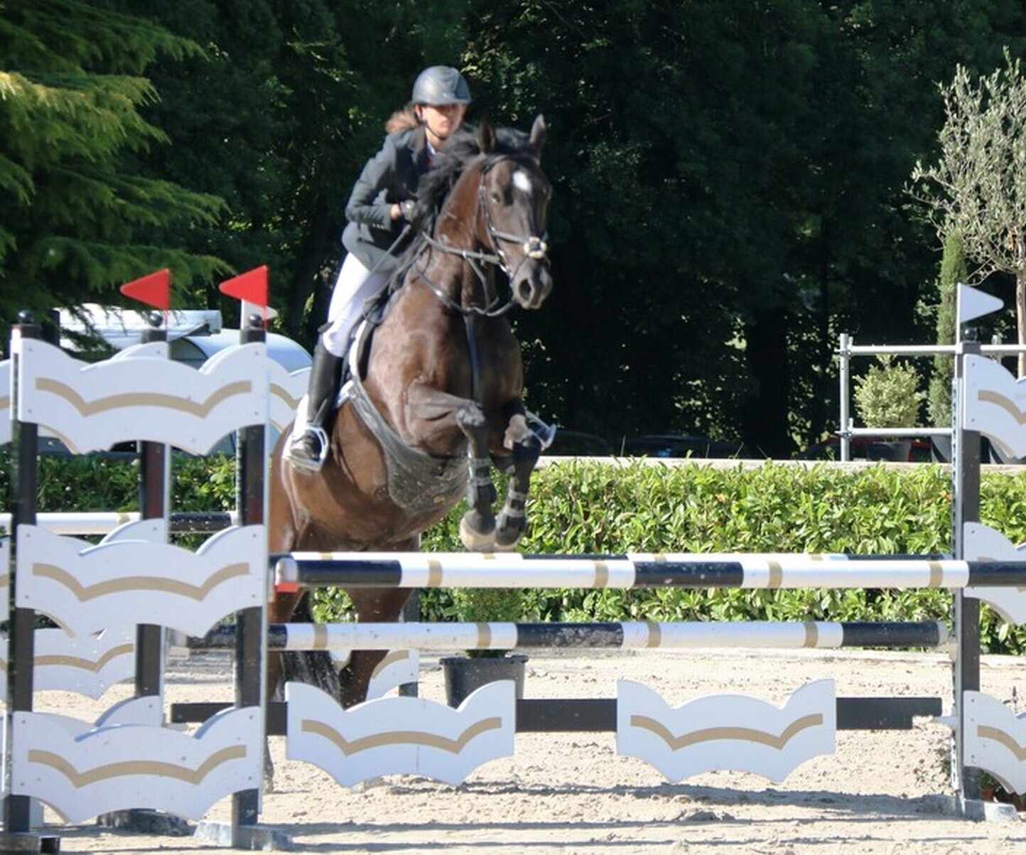 Description de l'image