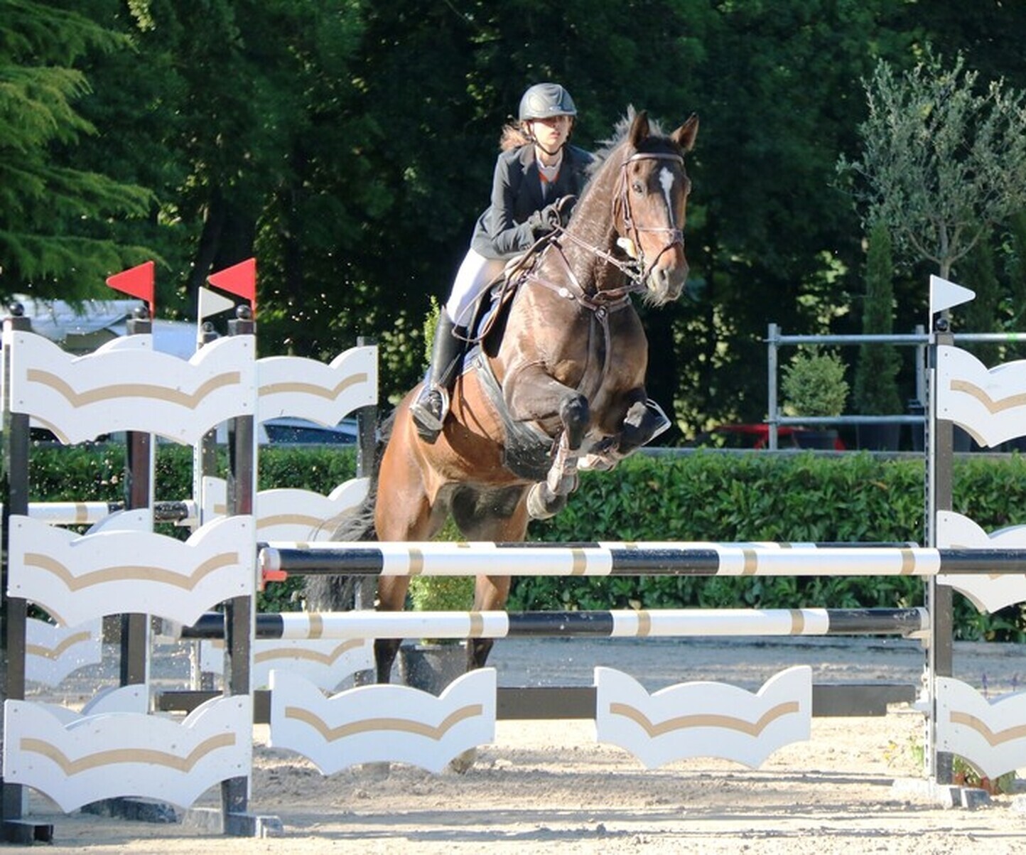 Description de l'image